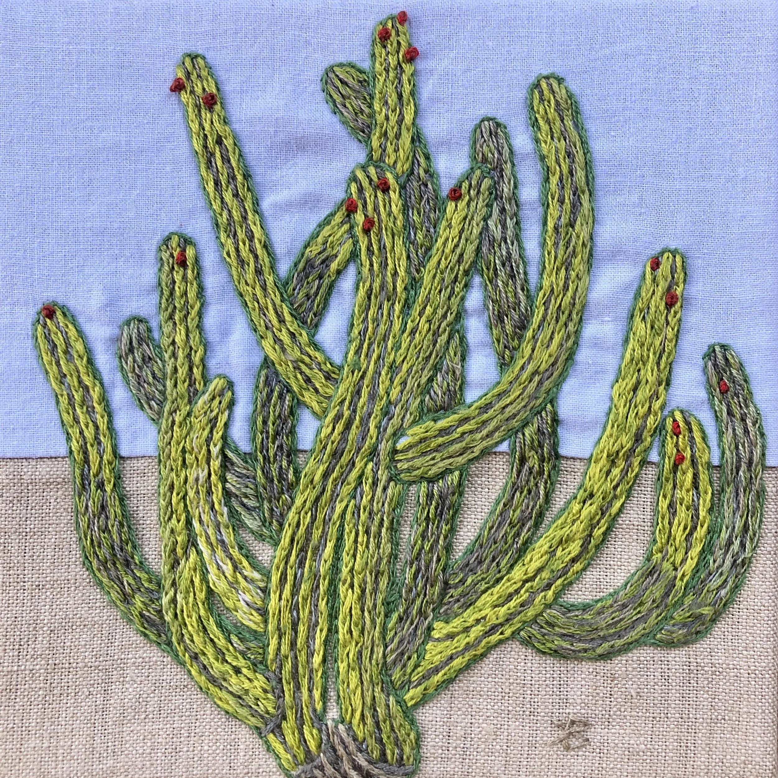 KBarrengos, Cabo Cactus, 6x6in.jpeg