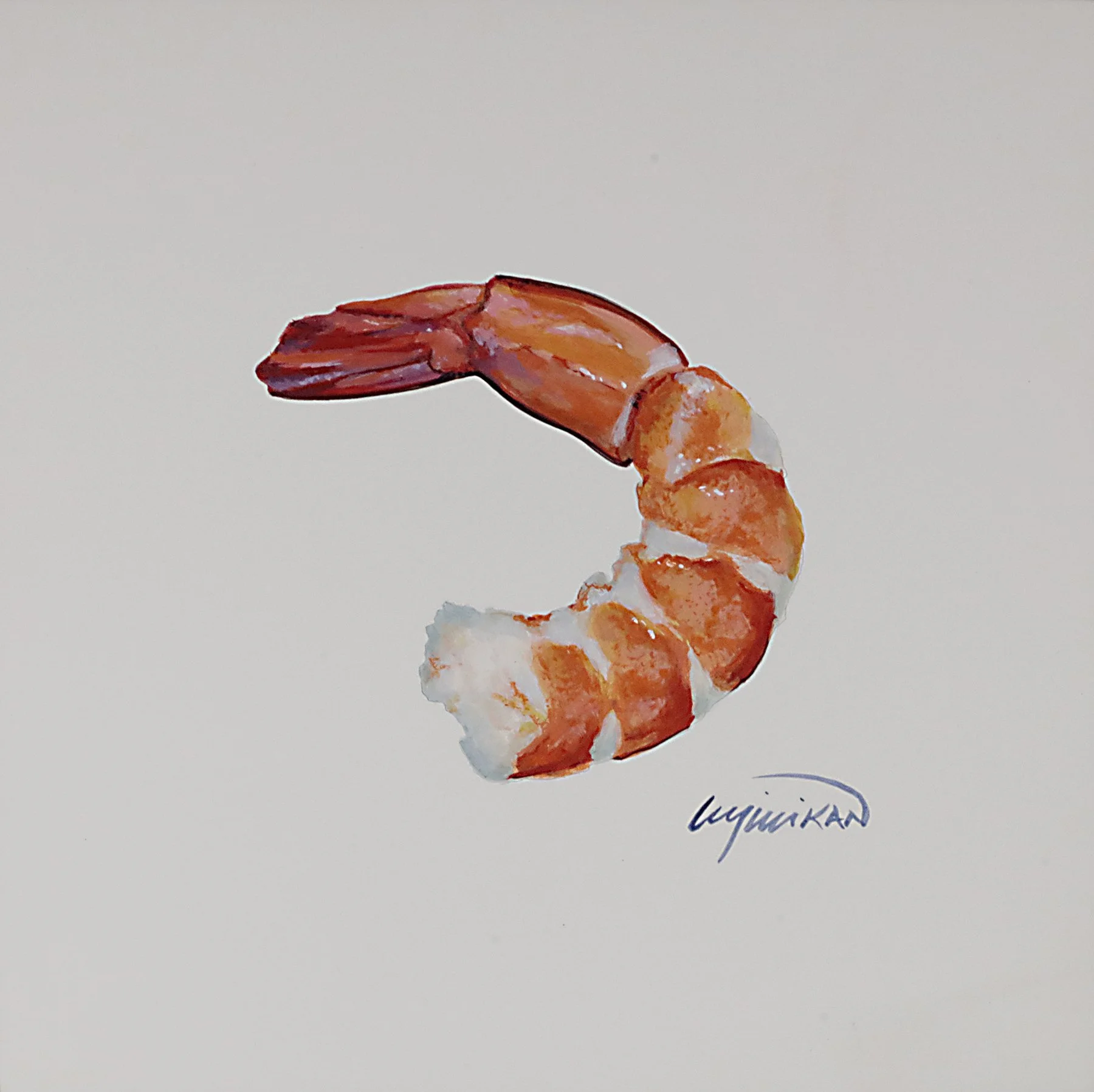 LMillikan_gulfshrimp.jpg