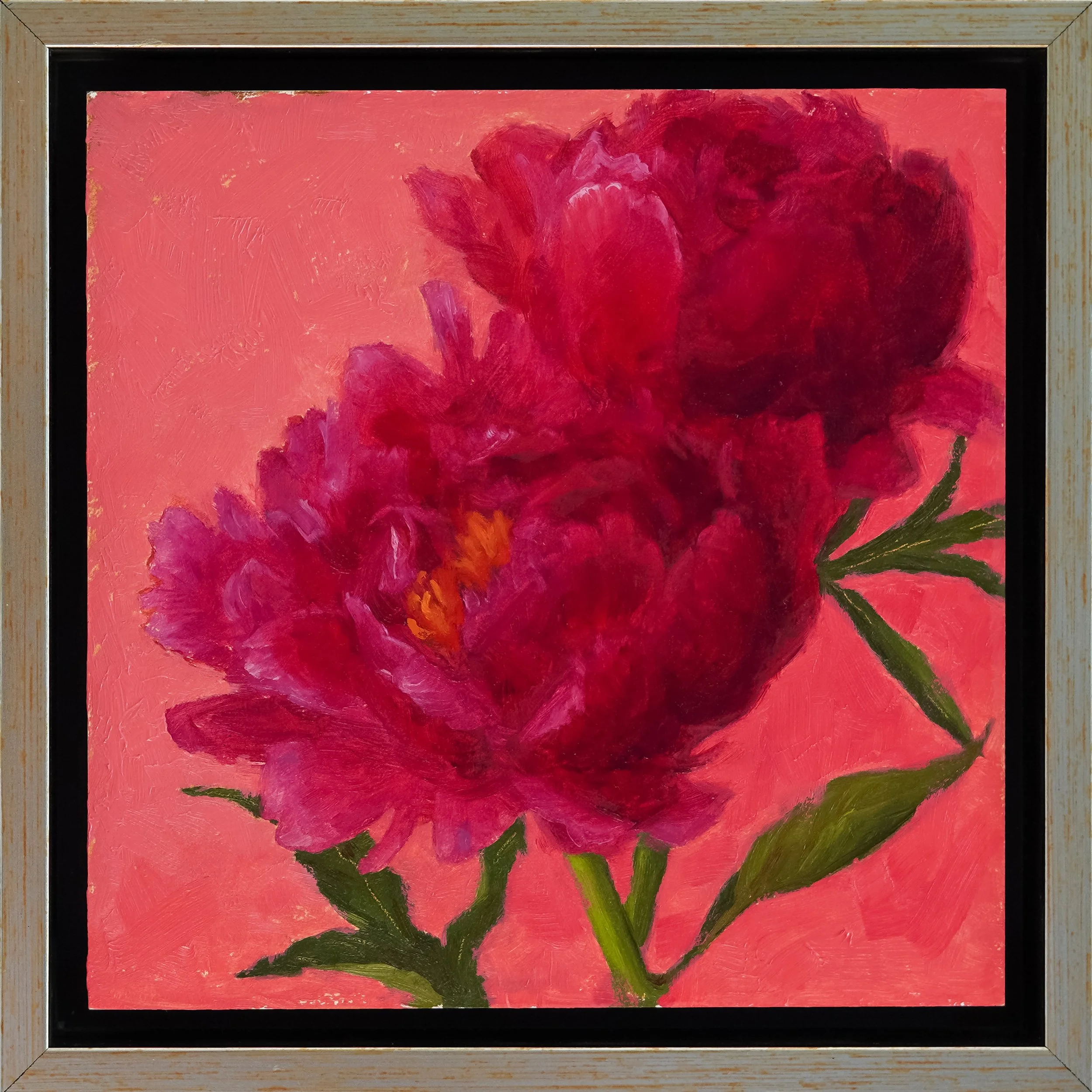 JTKavanagh_magenta_peonies_frame_6x6.jpg