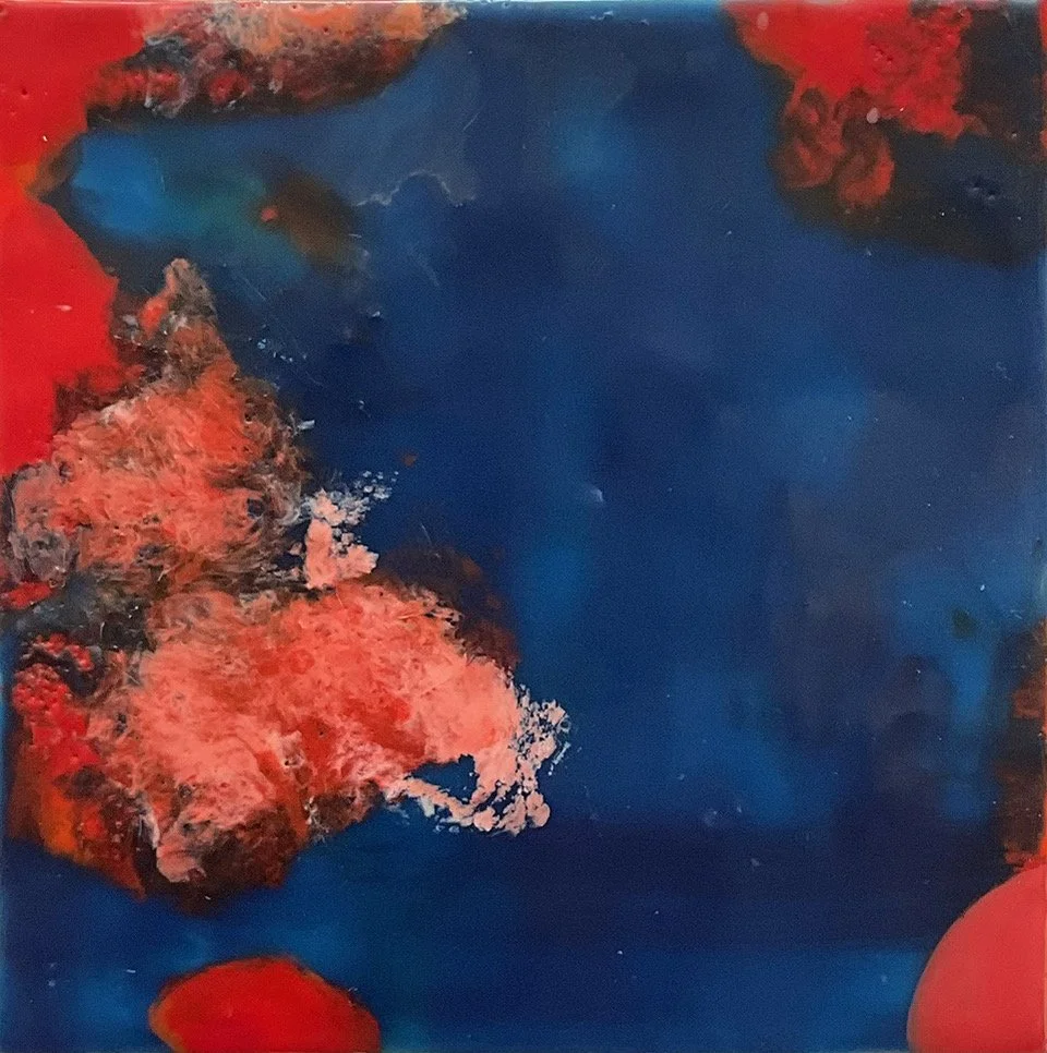 FSaveri-Rapture 3.jpeg