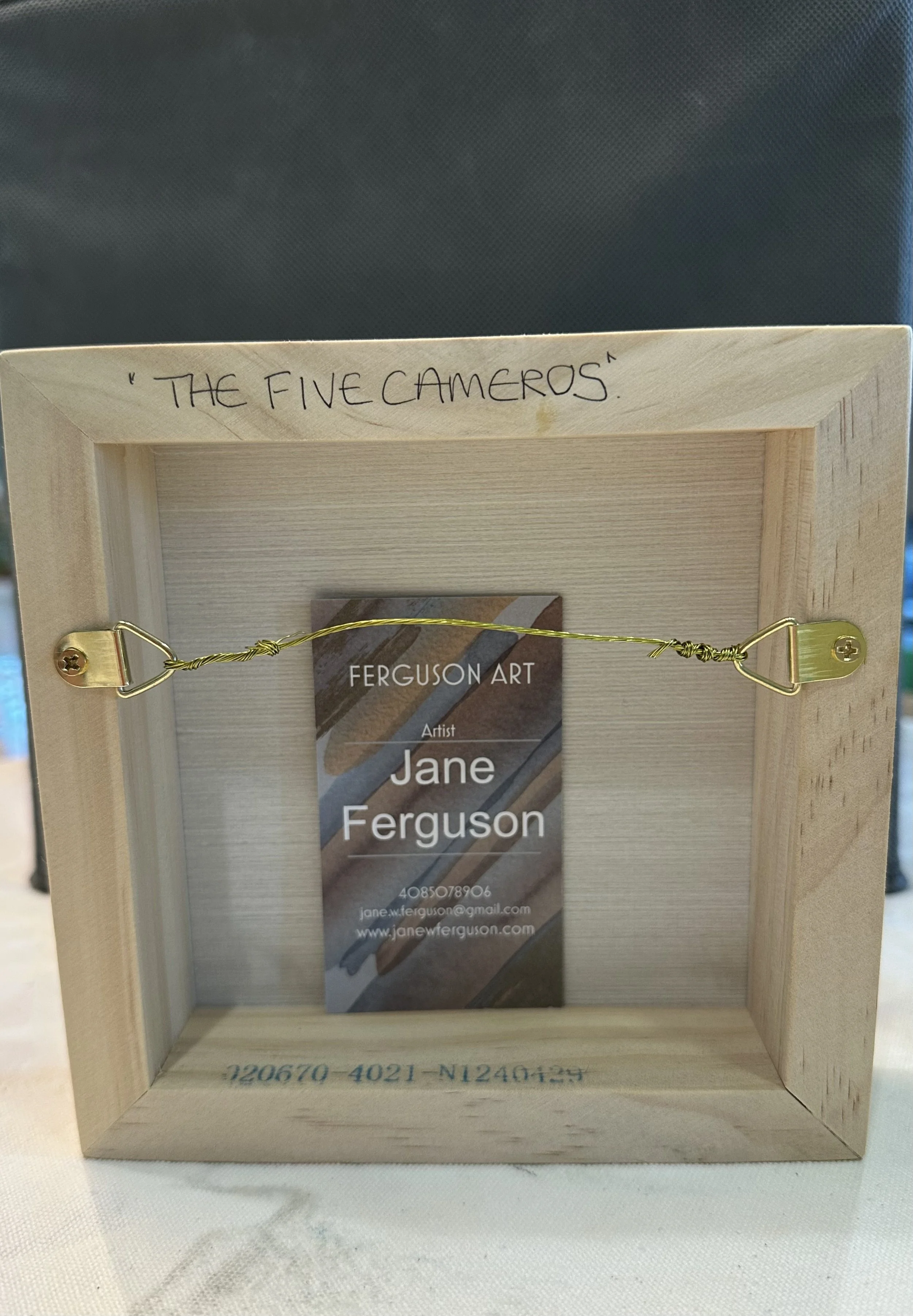 JFerguson-Back View The Five Cameros_Ferguson.jpeg