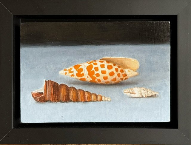 Still Life with Three Shells by David Gershon