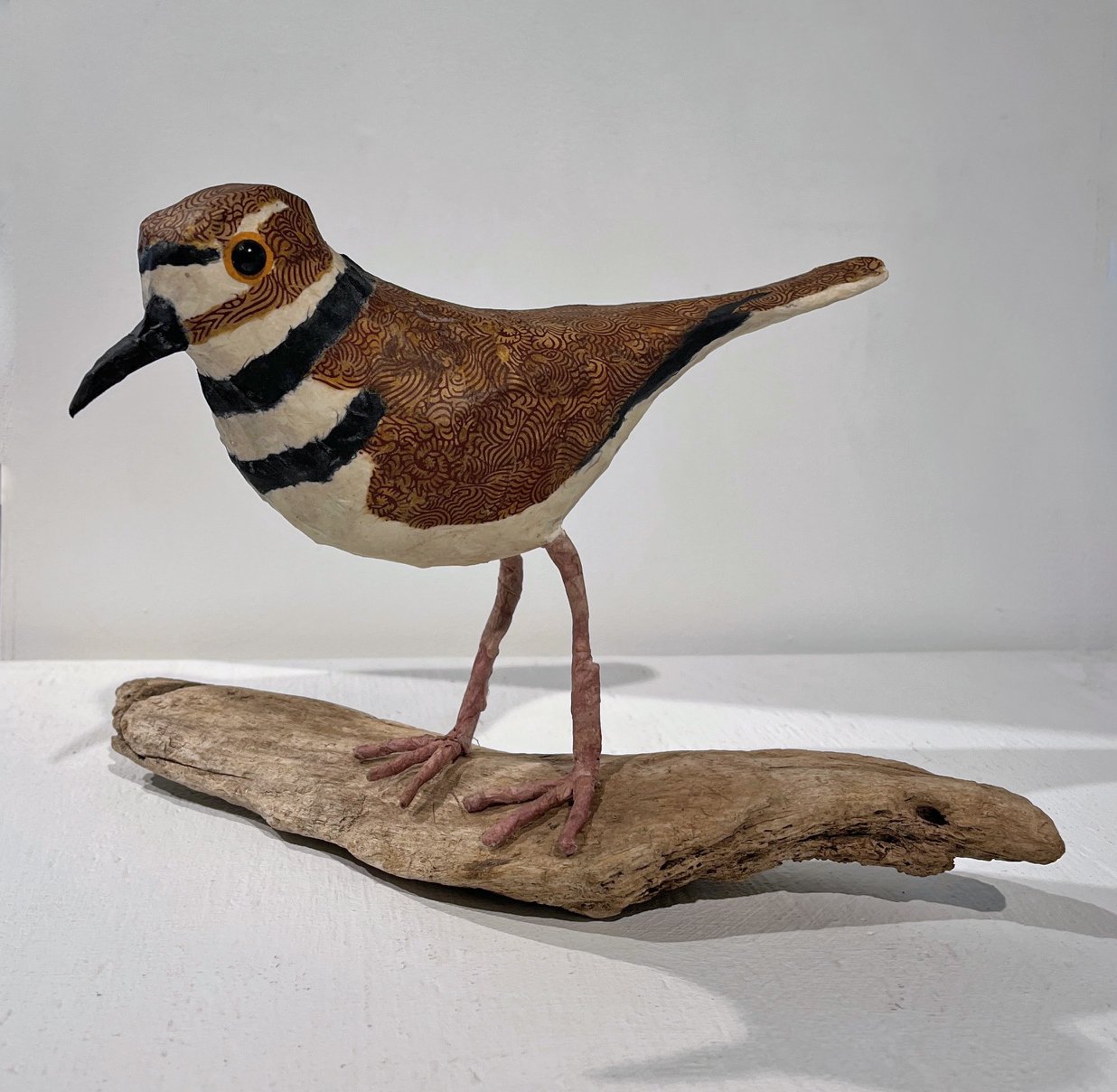 Killdeer by Nancy Overton