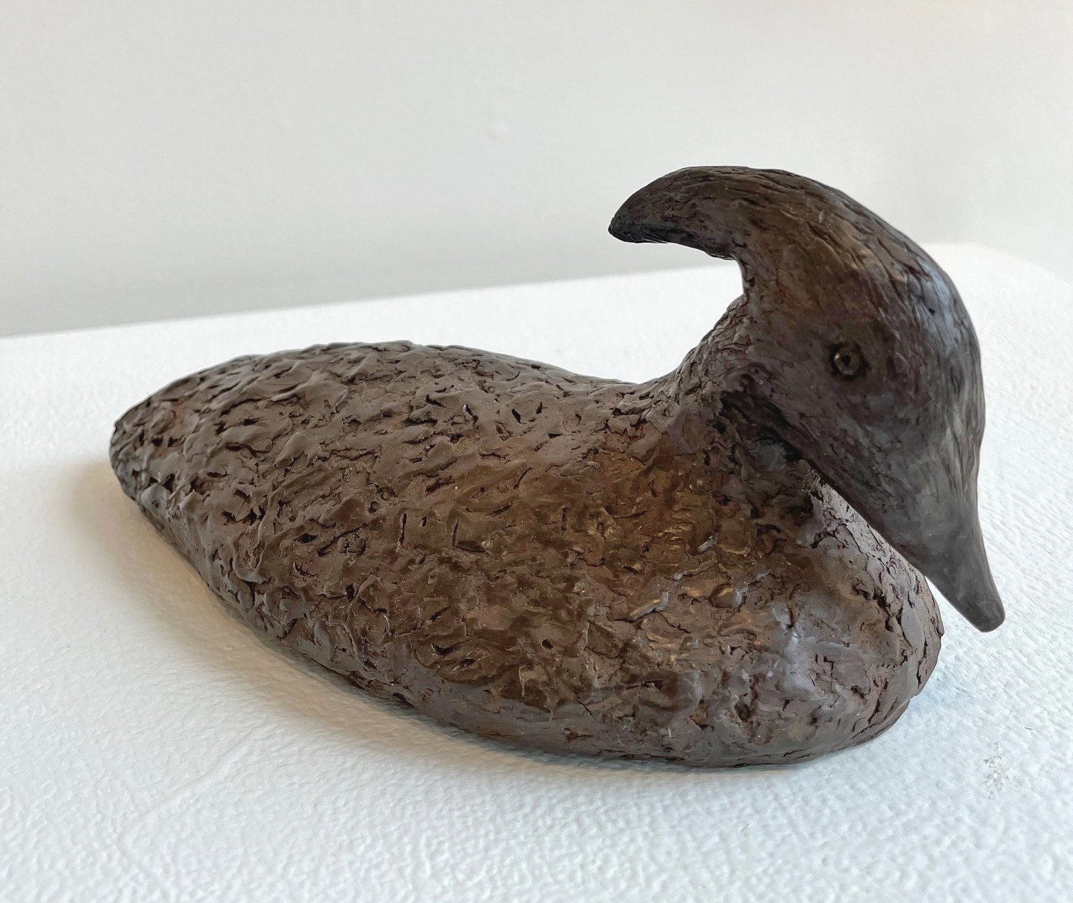 Duck by Jane Woolverton