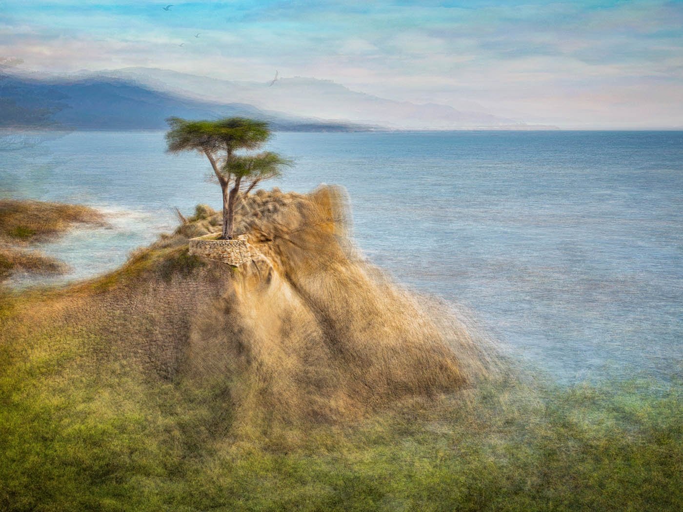 The Lone Cypress by Pep Ventosa