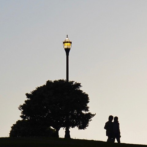 Alamo Square Park at Dusk by Jeffrey Abrahams