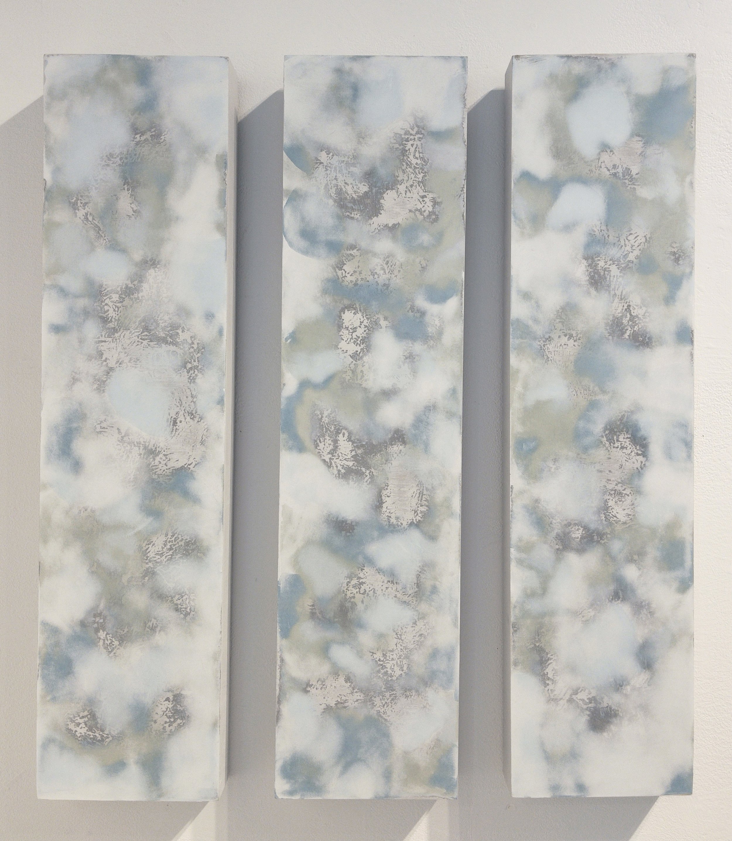 The Silver Fog 1-3 by Rab Terry