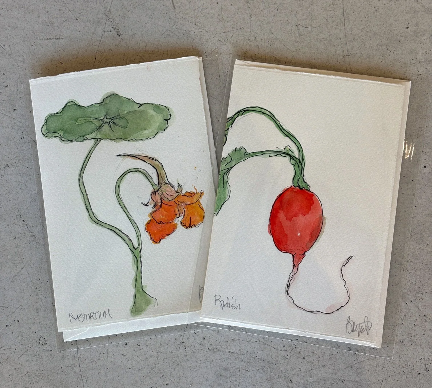 Watercolor Cards by Barbara Wyeth