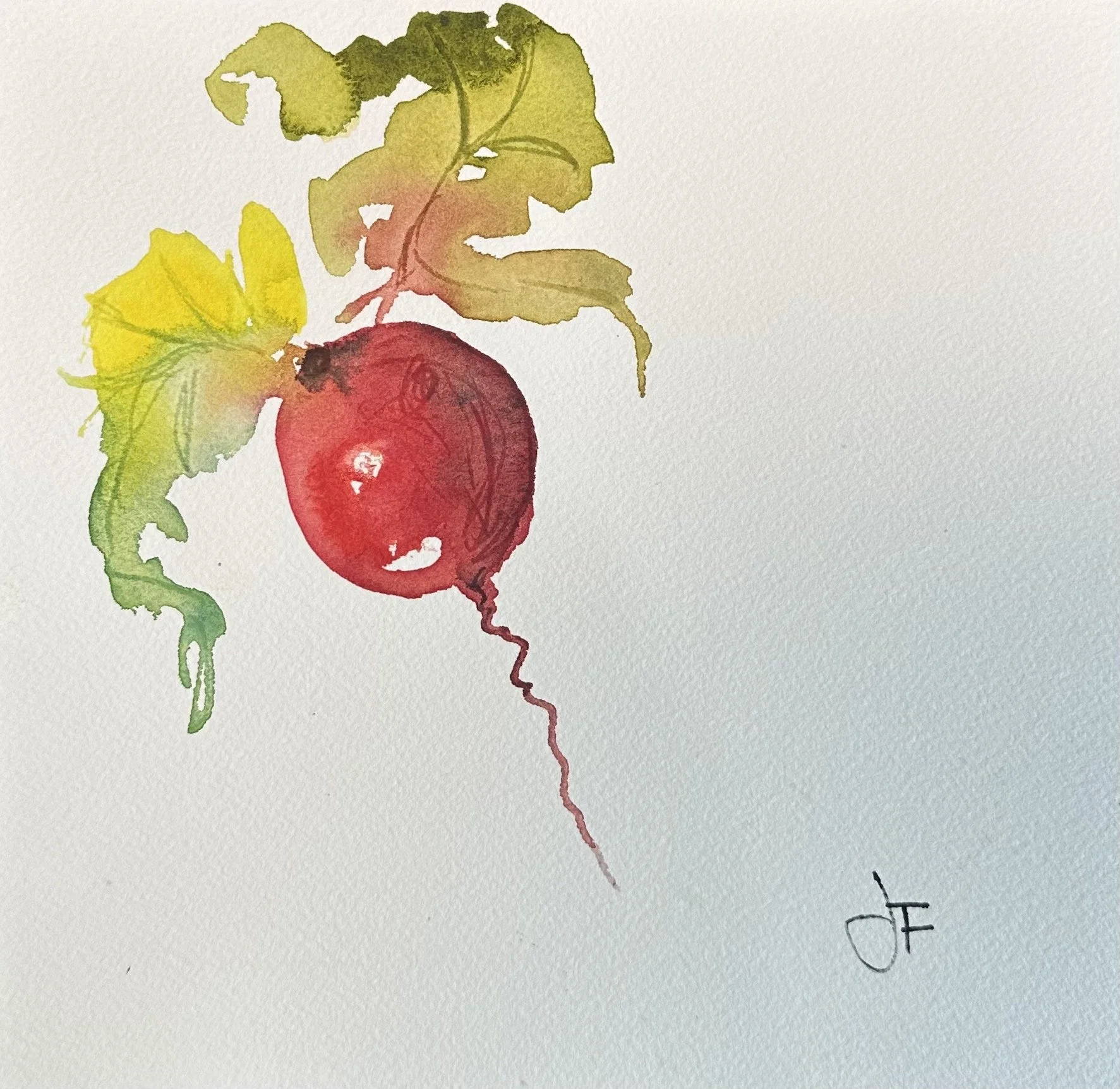 The Radish by Jane Ferguson