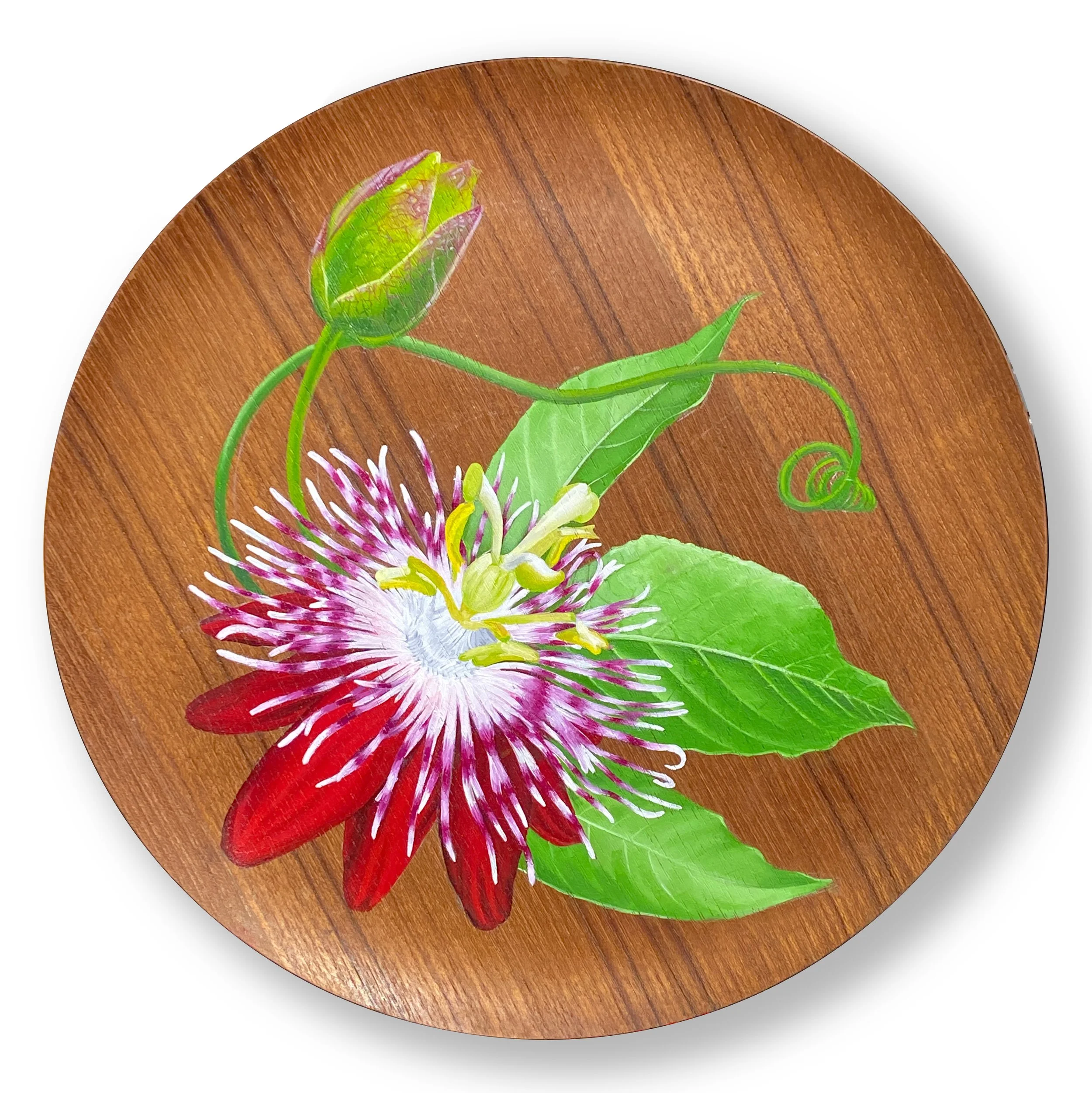 Passionfruit by Lana Kohn