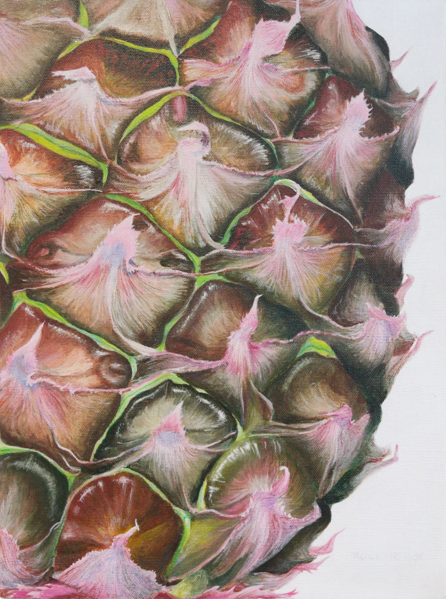 The Pineapple by Phyllis Rockne