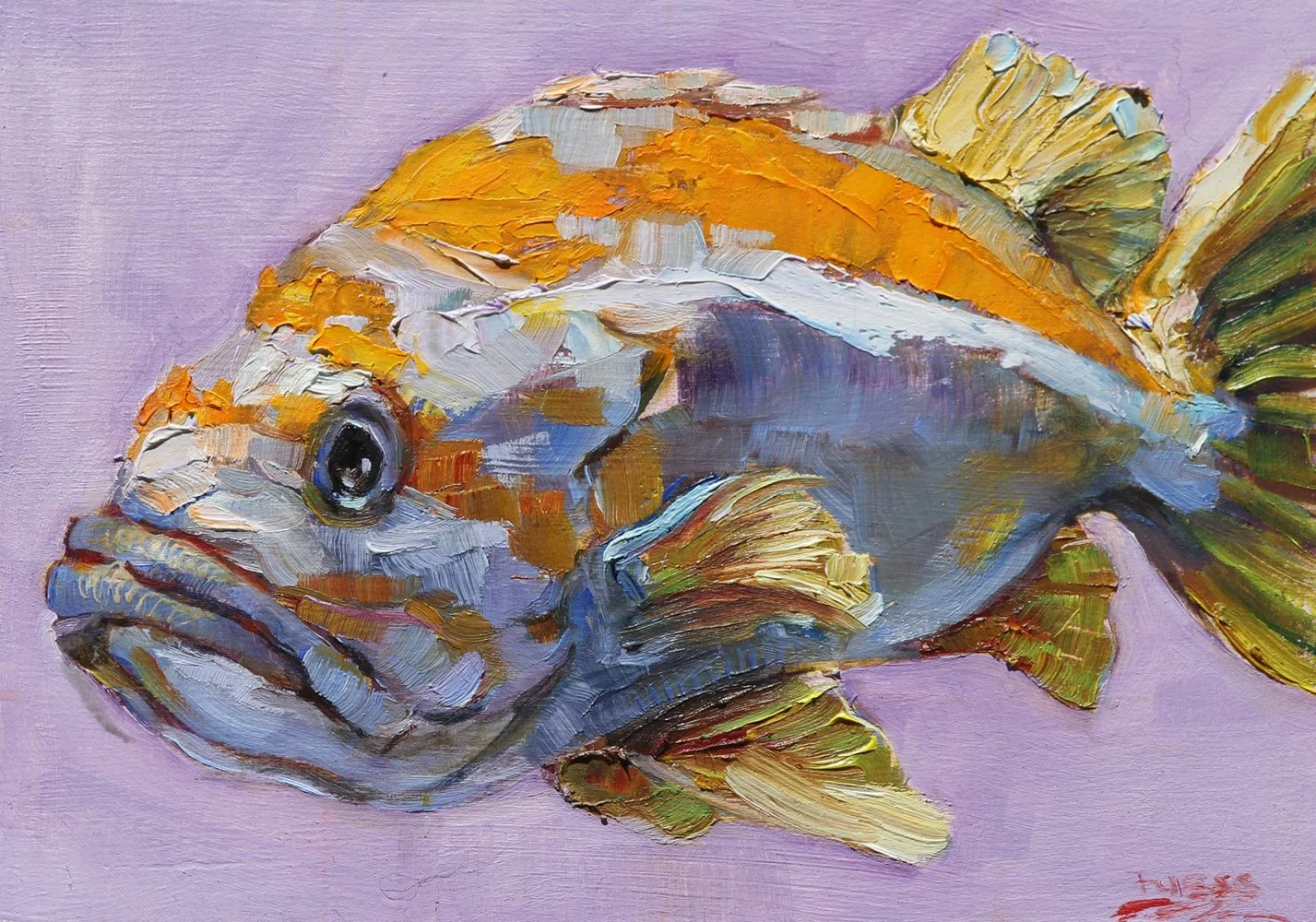 Grumpy Fin by Sally Fuess