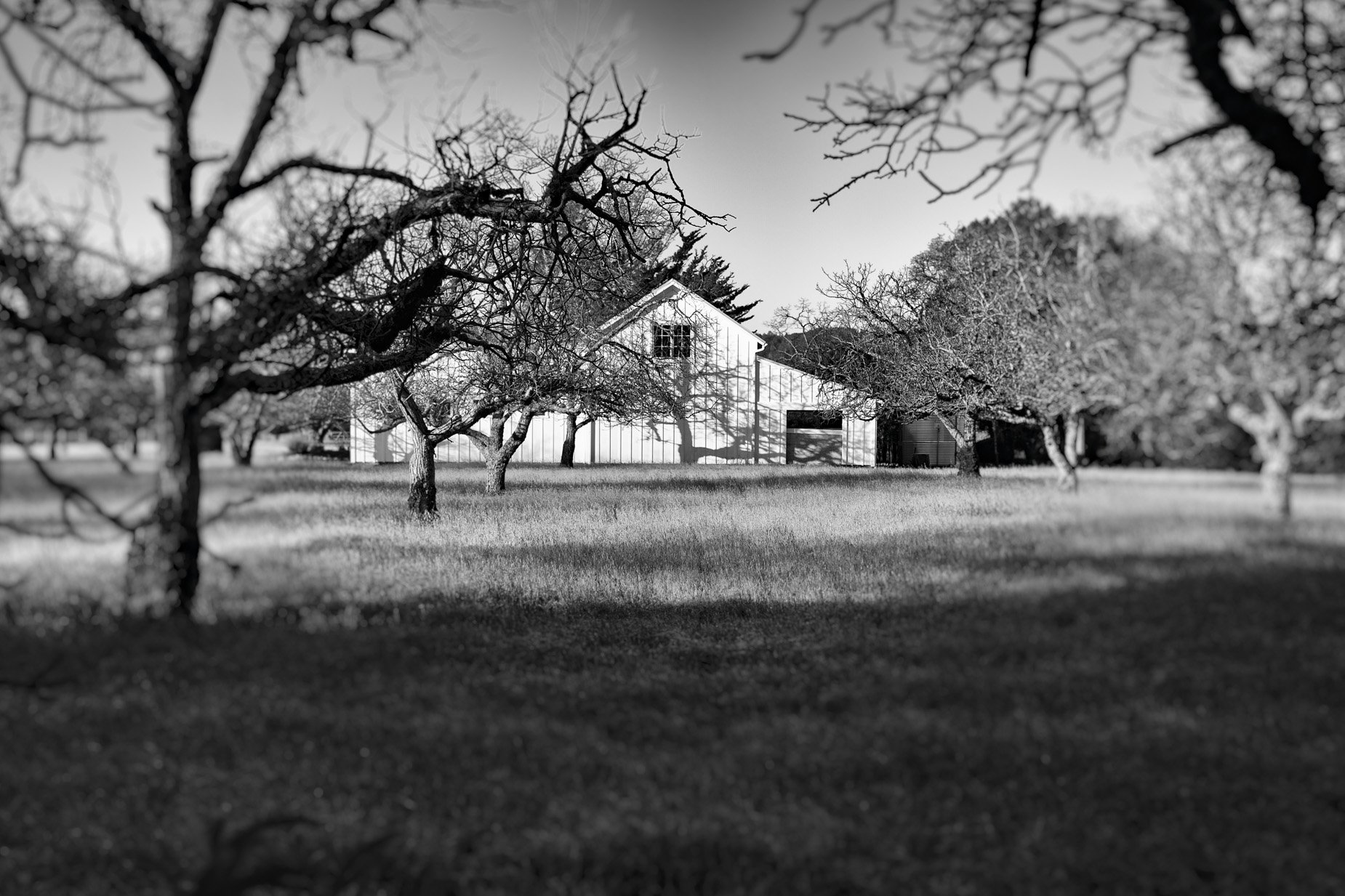 Calistoga Barn by John Andrew Murphy