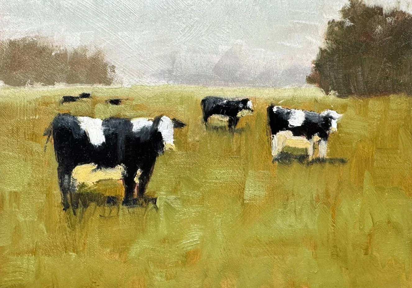 Cows in the Meadow by Robert Frank