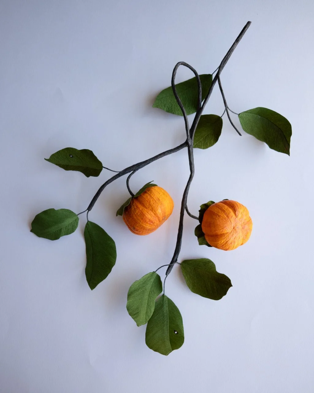 Fuyu Persimmon by Yang Liu