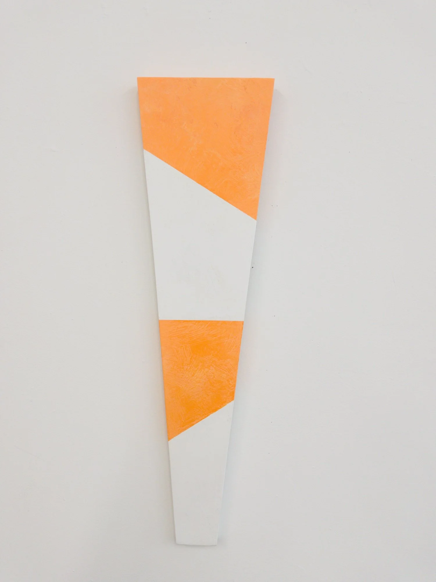 Modern Carrot 1 by Rab Terry