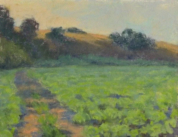 Field of Green II by Erika Perloff