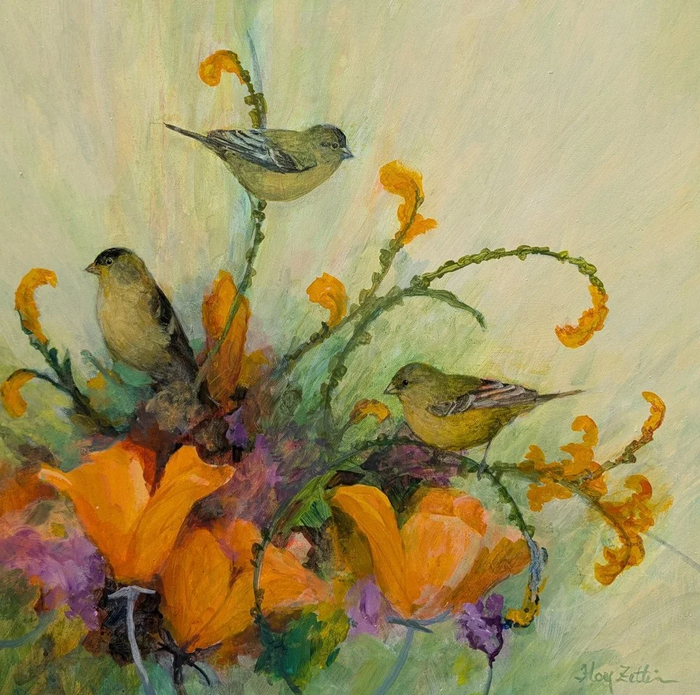 Finch Trio and Poppies by Floy Zittin