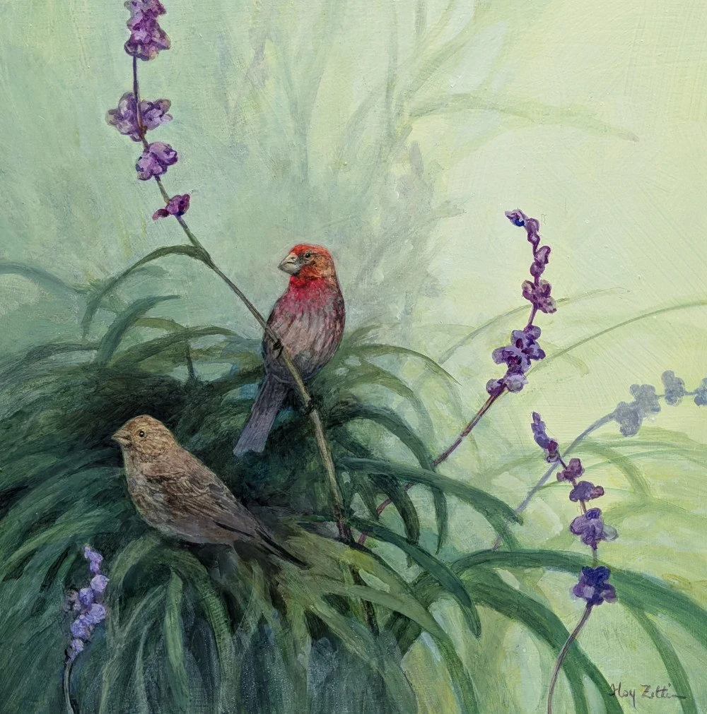House Finch and Sage by Floy Zittin