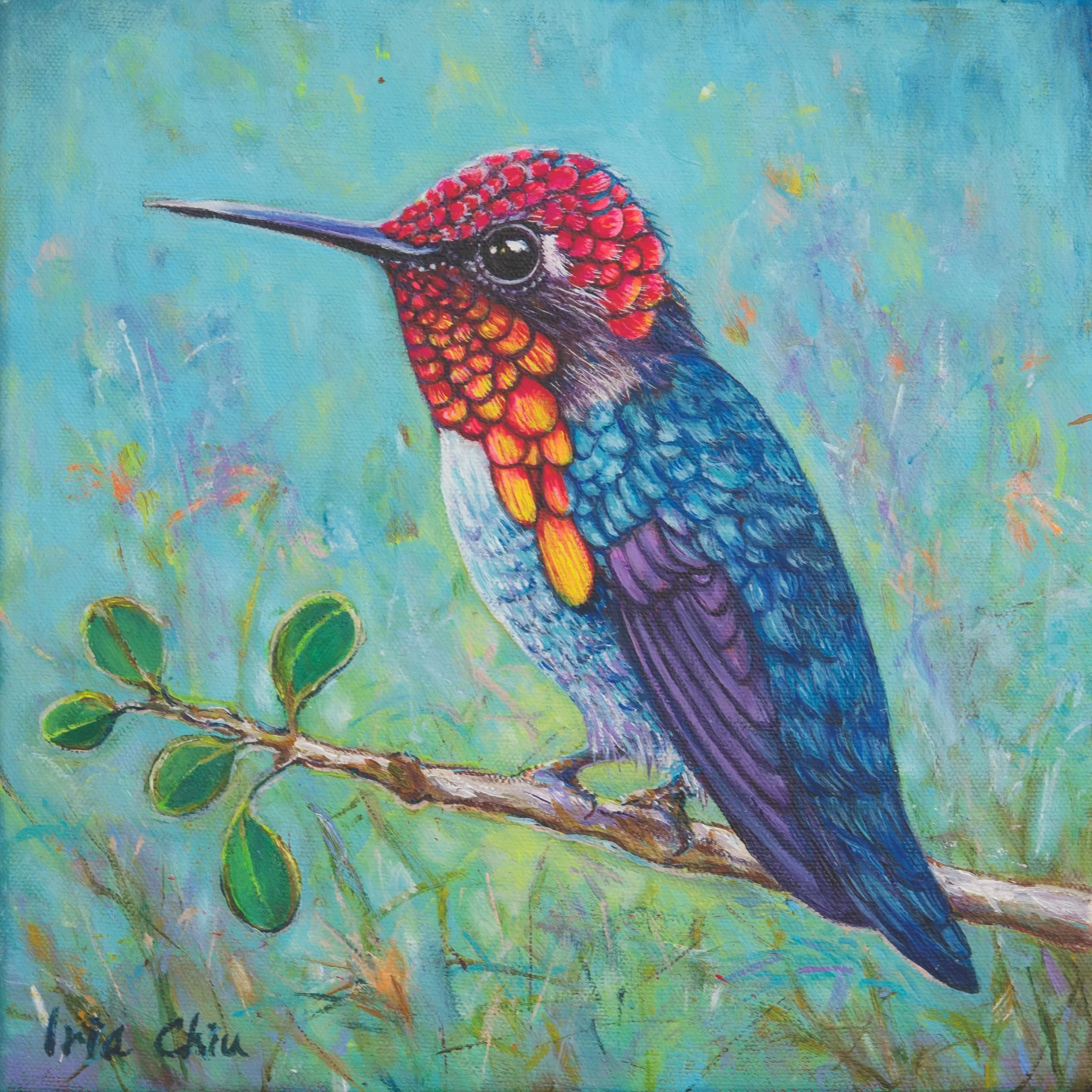 Bee Hummingbird by Iris Chiu