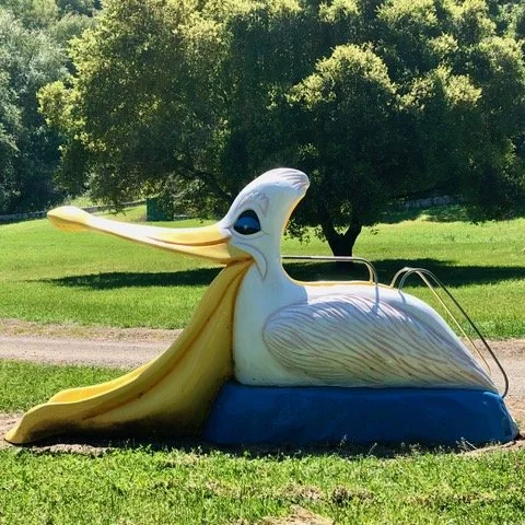 Pelican Slide by Jeffrey Abrahams