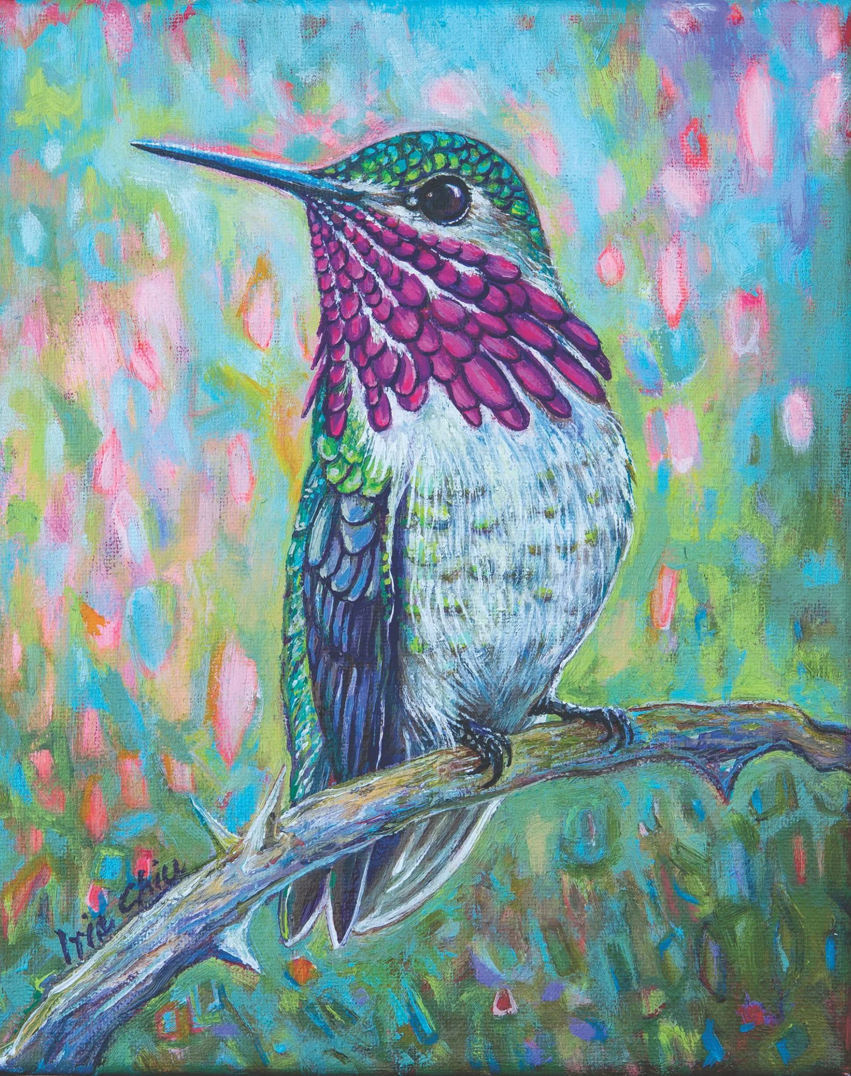 Calliope Hummingbird by Iris Chiu