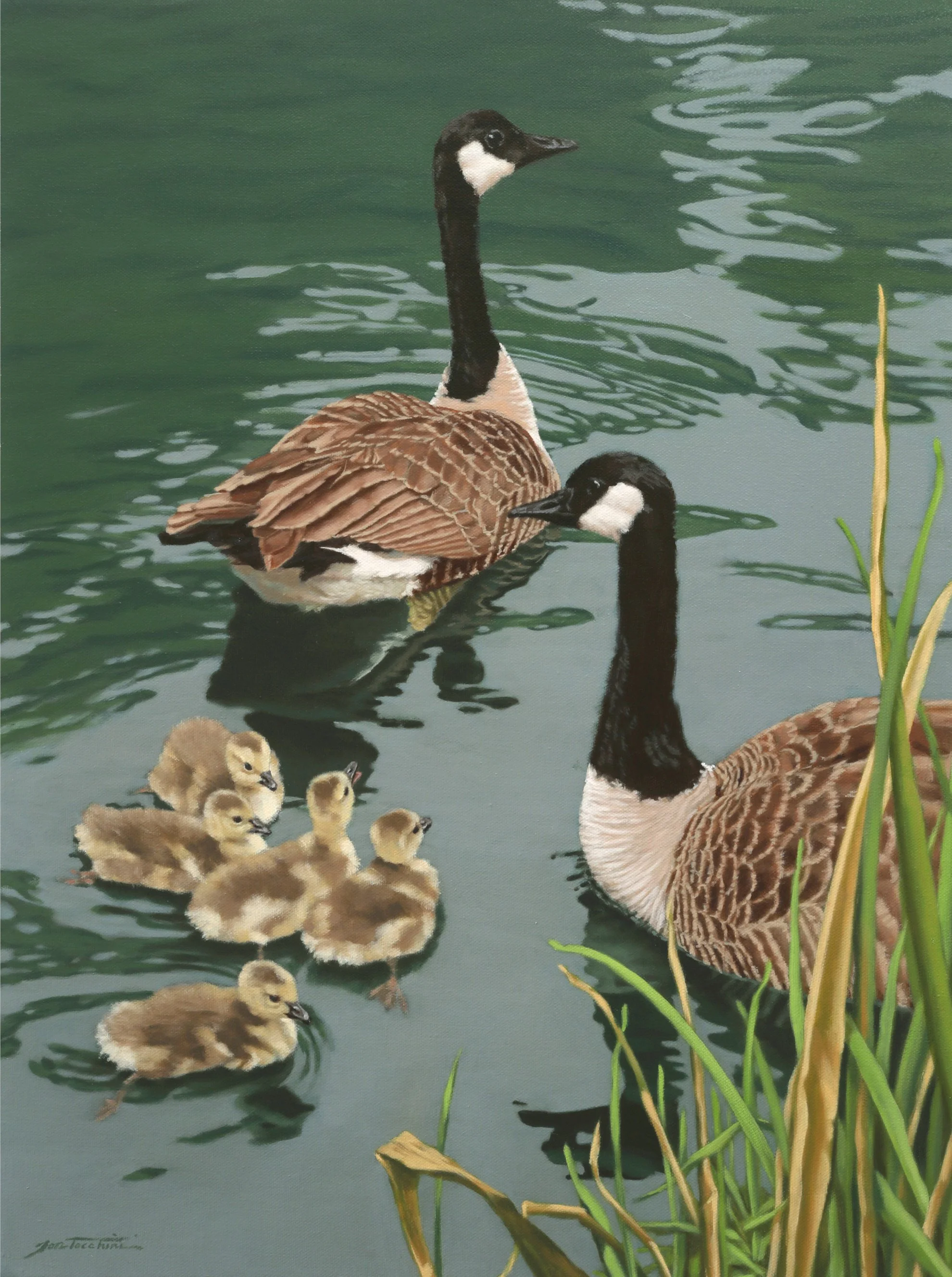Feathered Lineage by Jon Tocchini