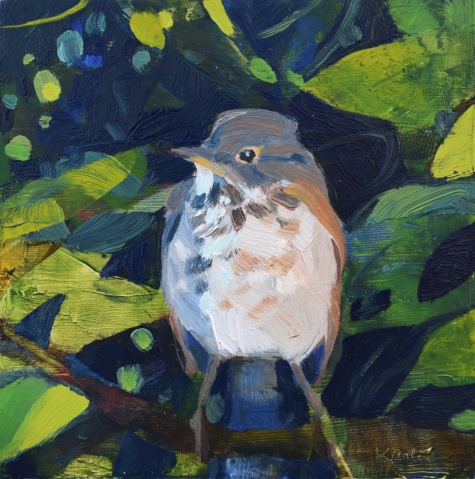 Hermit Thrush II by Kanna Aoki