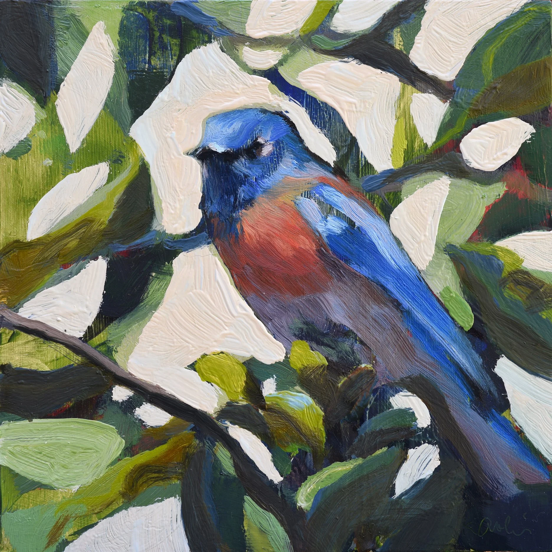 Western Bluebird III by Kanna Aoki