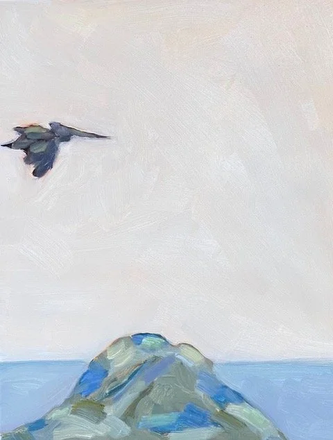 Pelican, Sonoma Coast by Mercedes McDermott