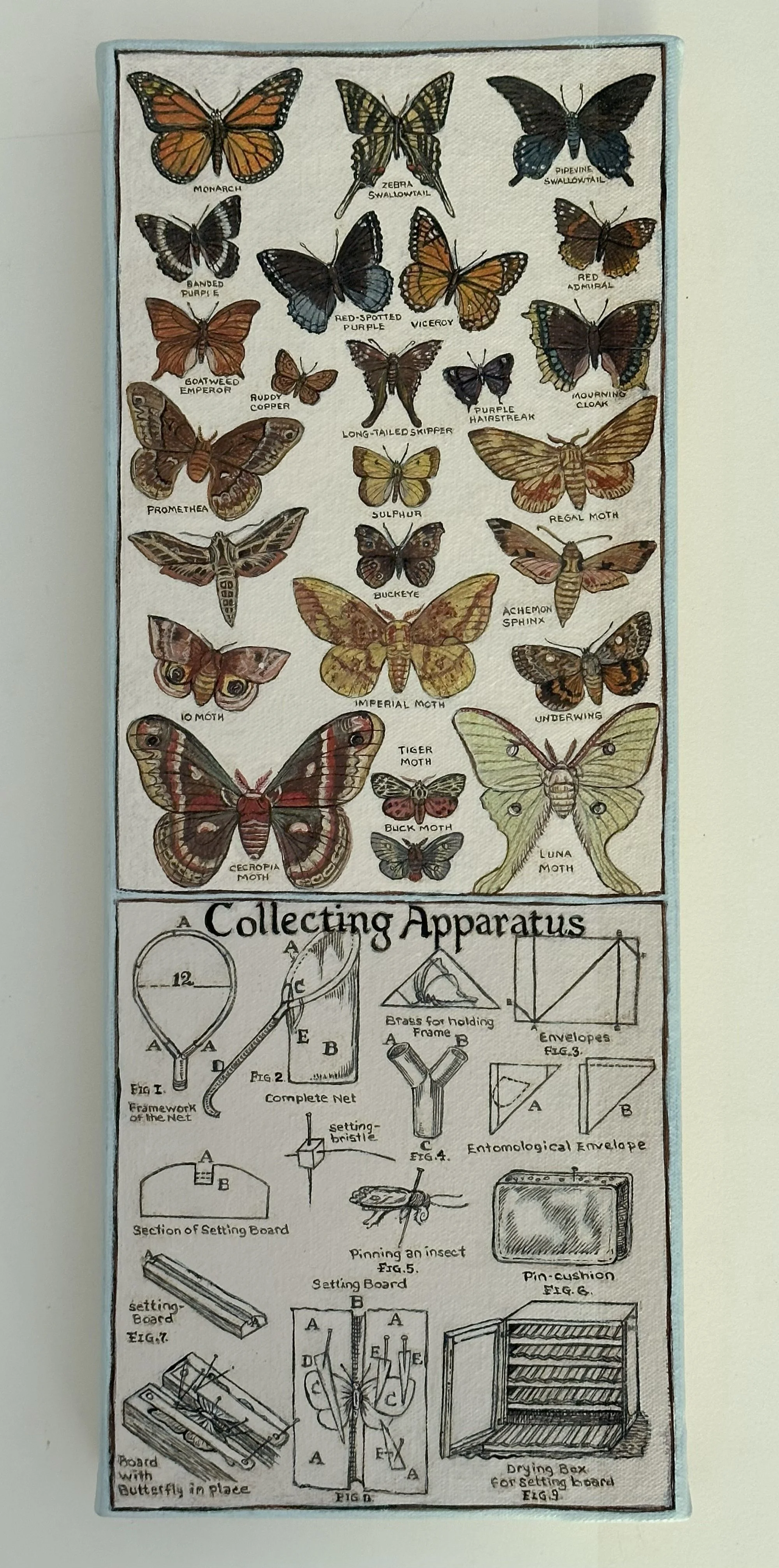 The Collector by Marnie Spencer