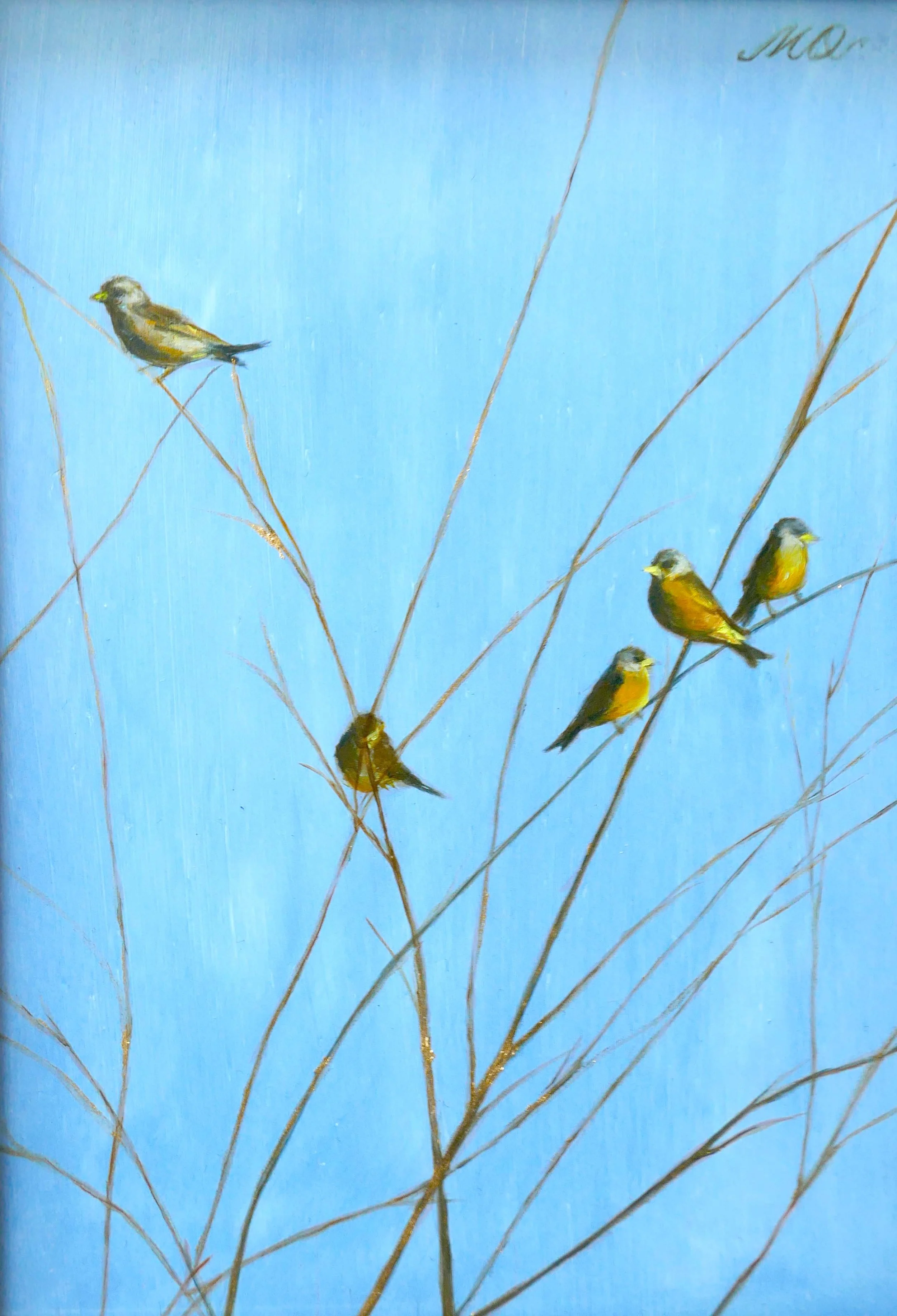 Finch by Qing Miao