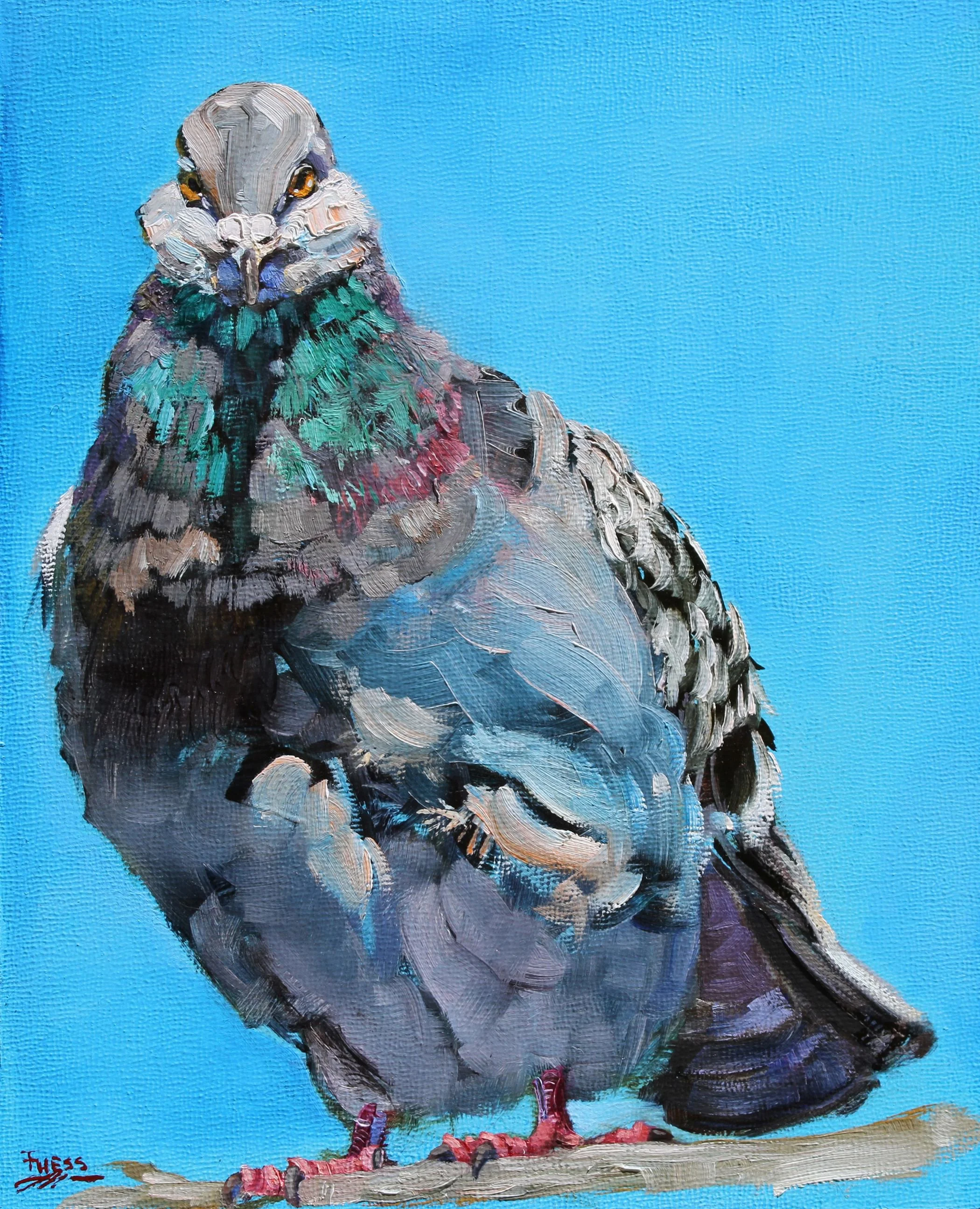 Persnickety Pigeon by Sally Fuess