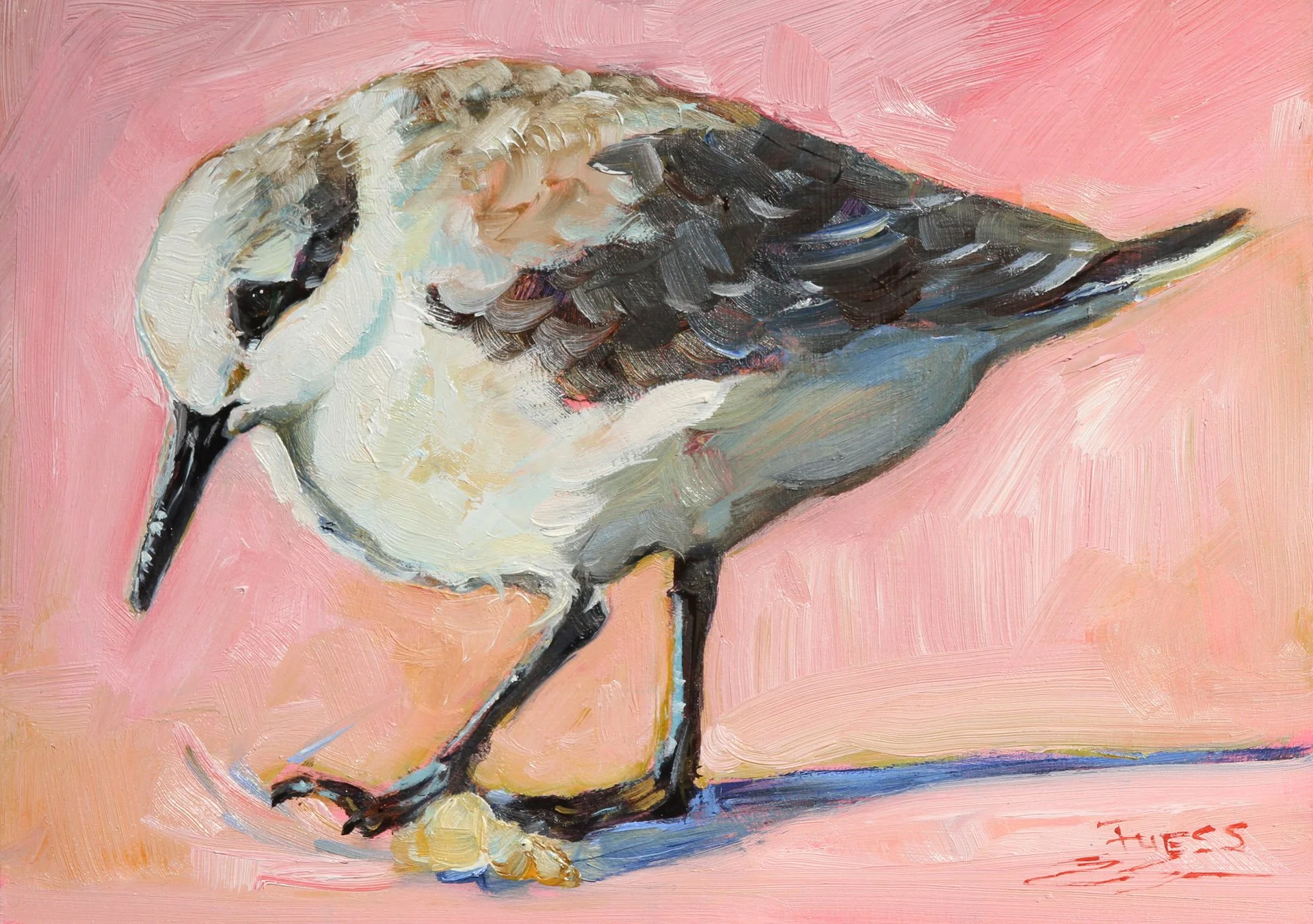 Sanderling Strut by Sally Fuess