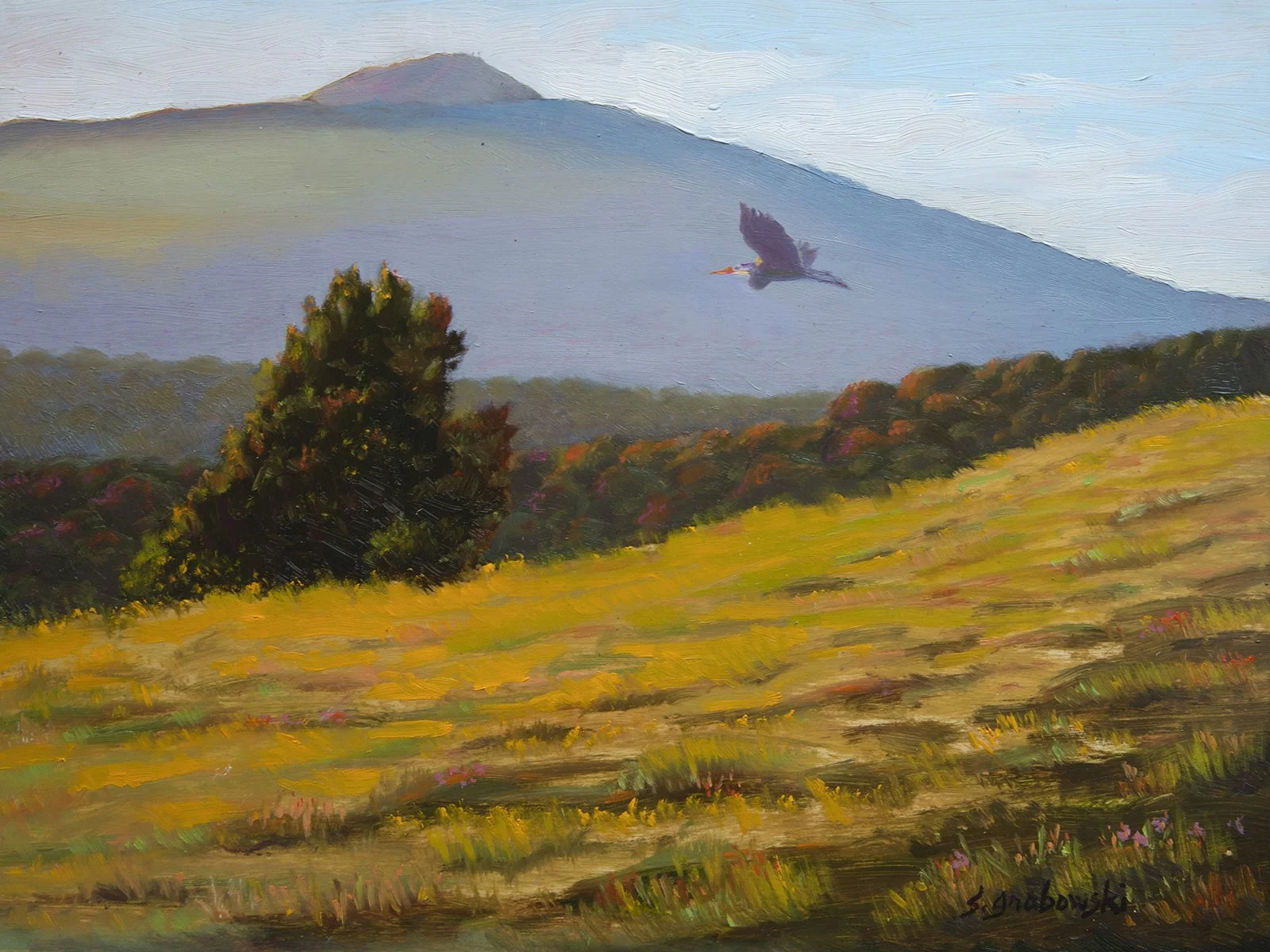 Heron and Mt. Tam by Susan Grabowski