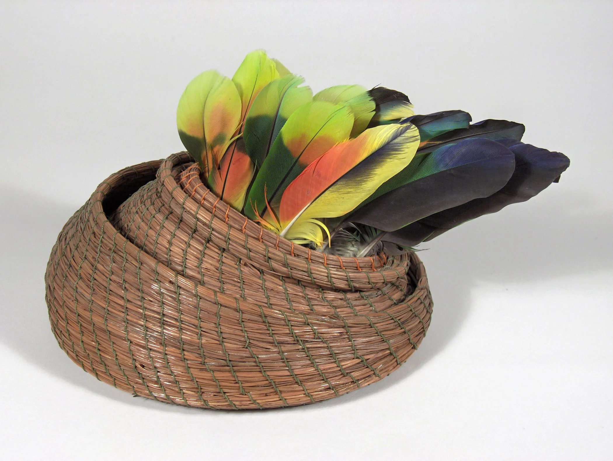 Rainbow Emerging by Melissa Woodburn