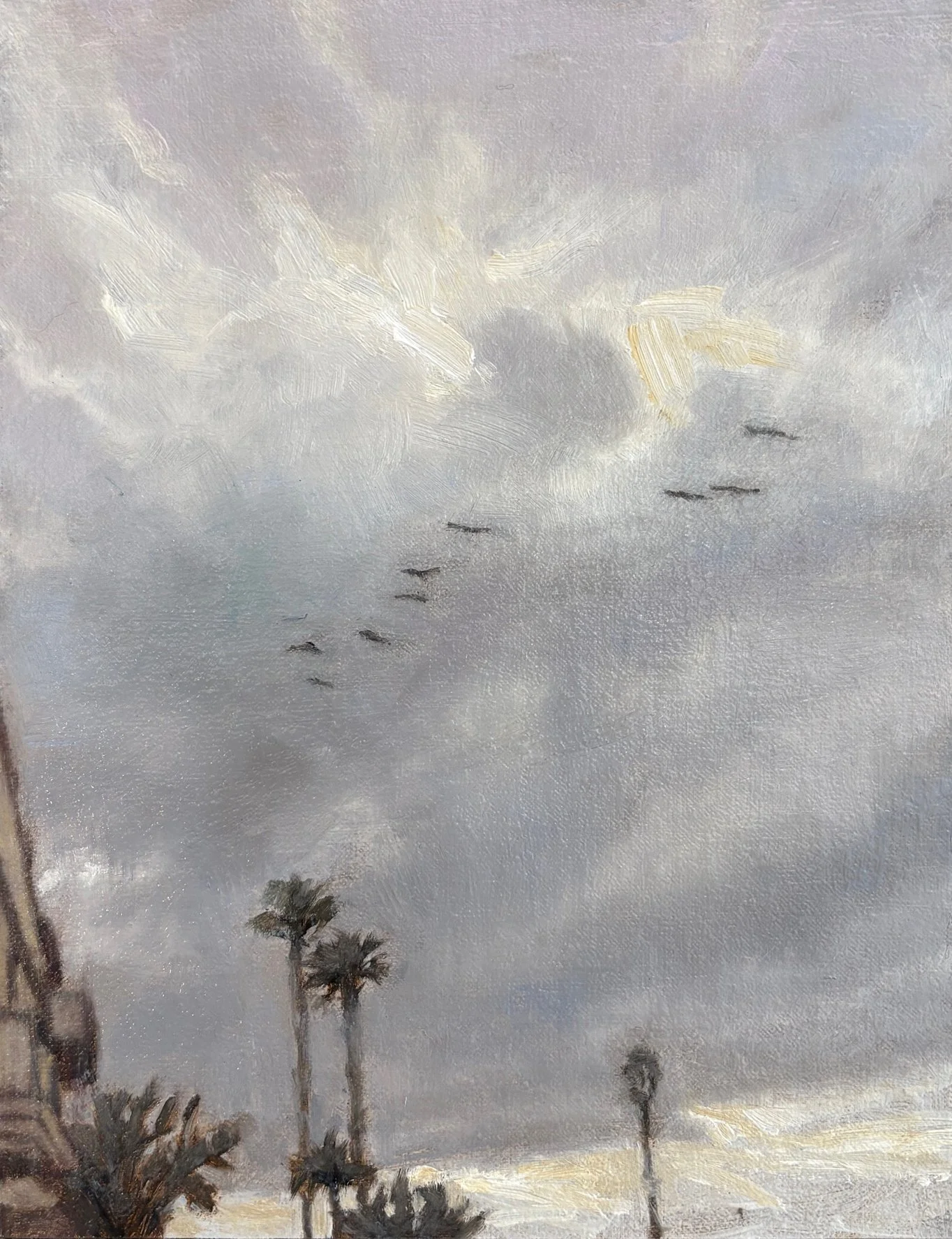 Pelicans over El Porto by Maura Carta