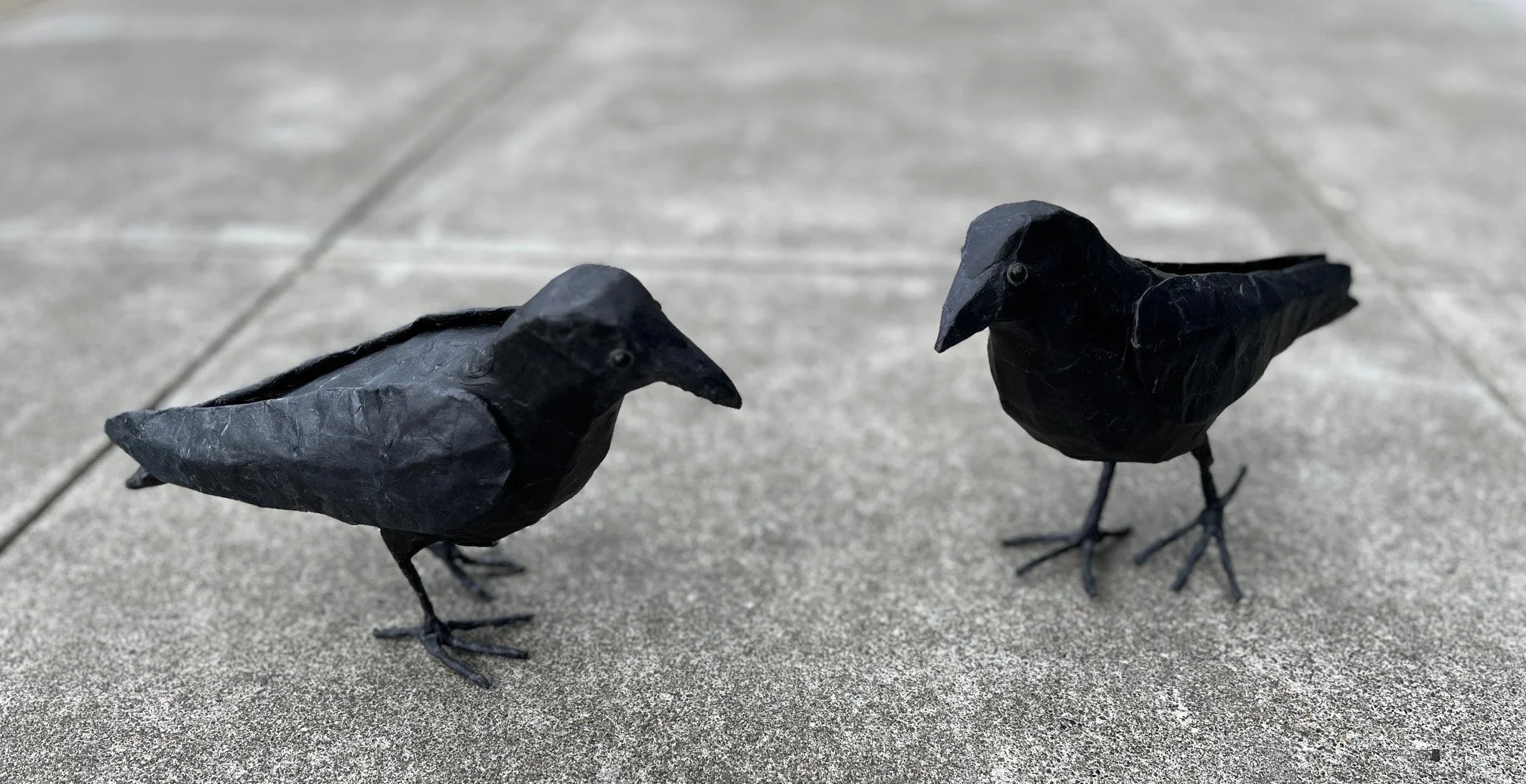 American Crows by Nancy Overton