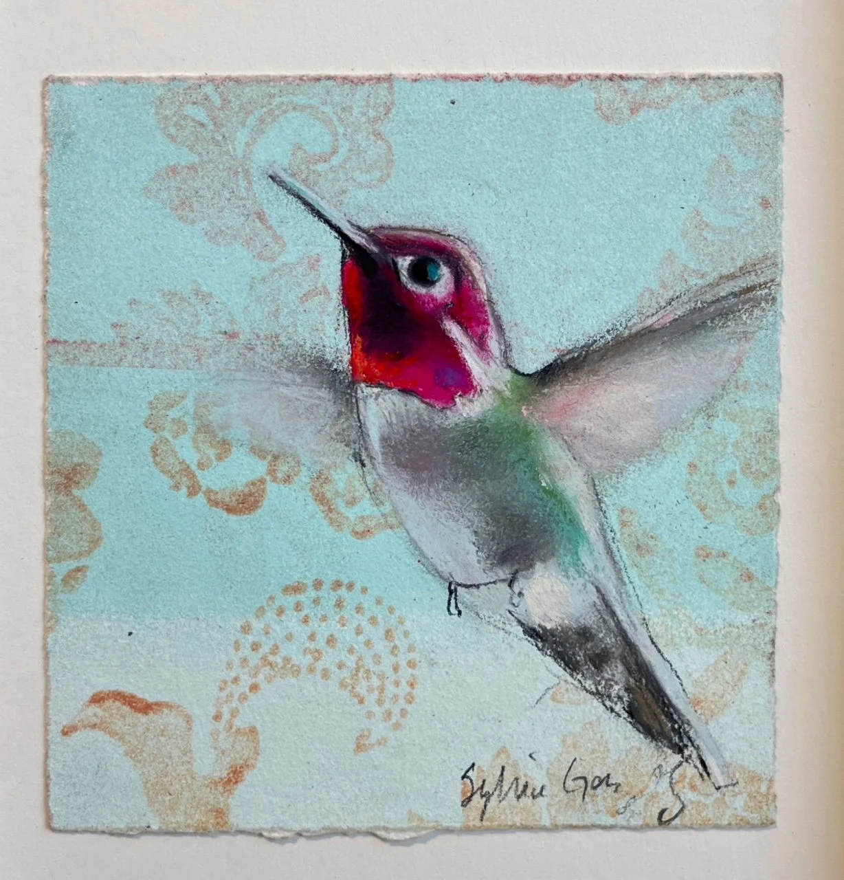 Anna's Hummingbird 1 by Sylvia Gonzalez