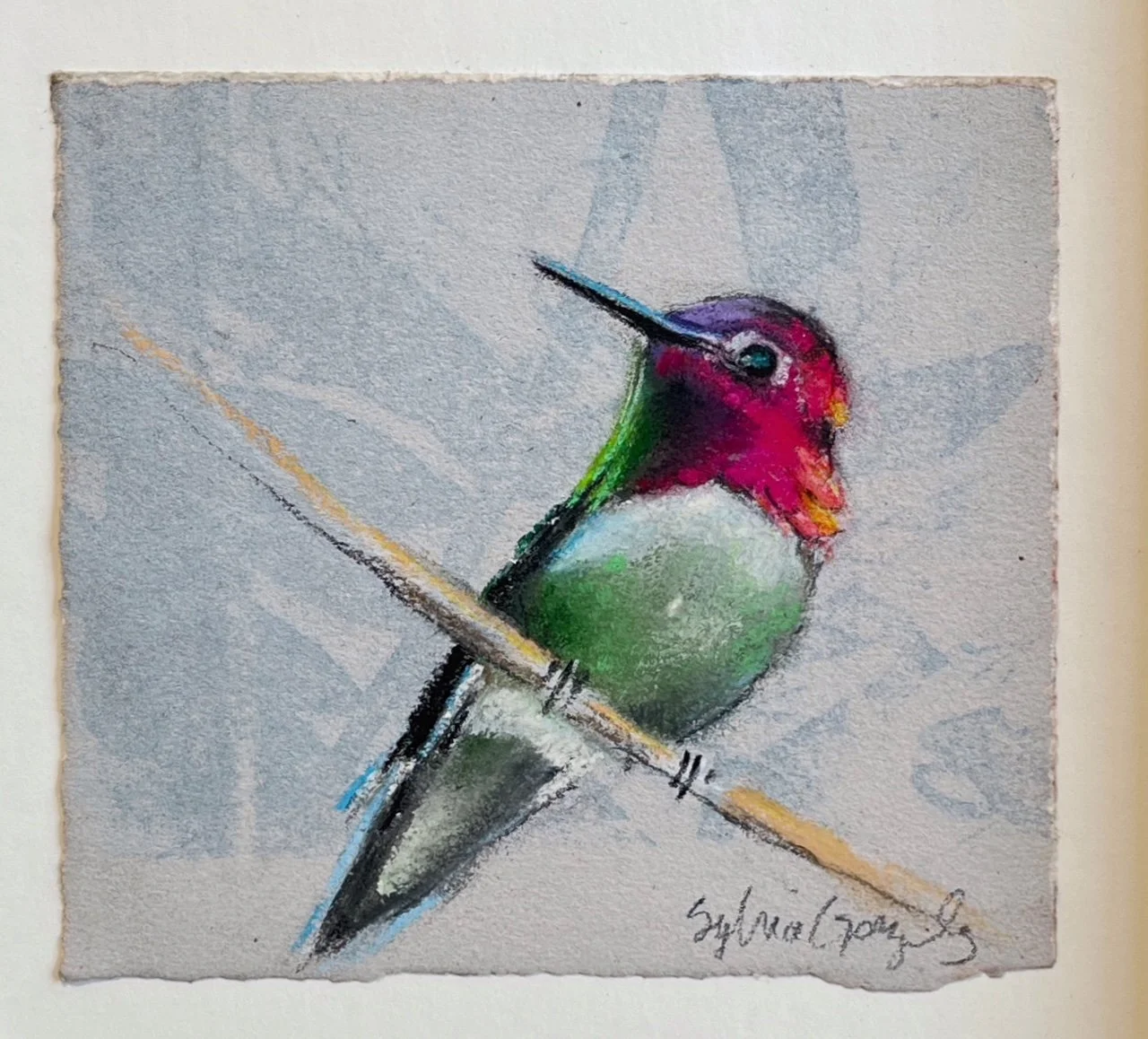 Anna's Hummingbird 2 by Sylvia Gonzalez