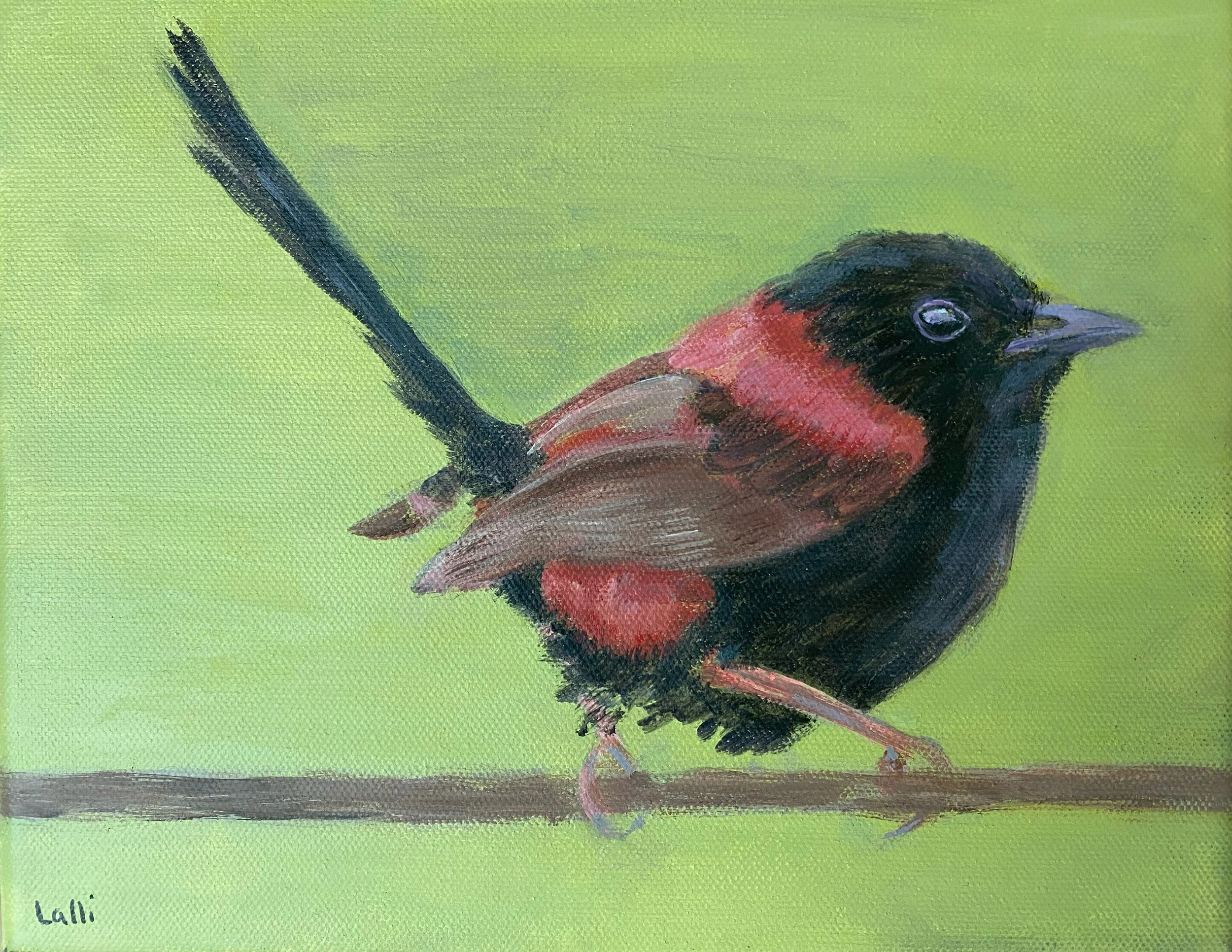 Fairy Wren by Lisa Lalli-Wyckhouse
