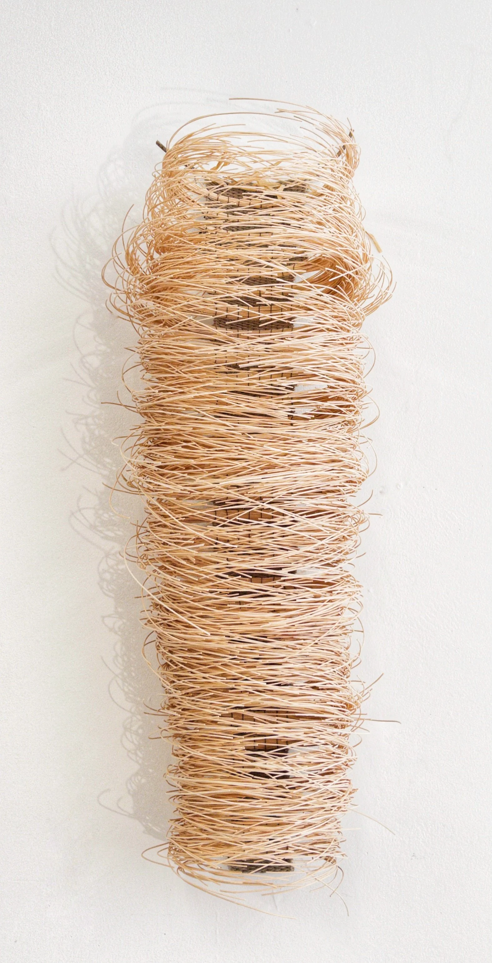 Puppy Pod  by Estelle Akamine