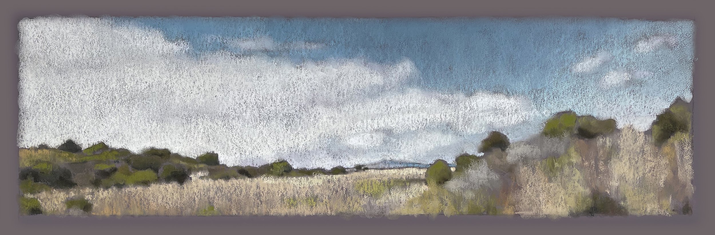 Grasses around Tomales Bay by Jean Sanchirico