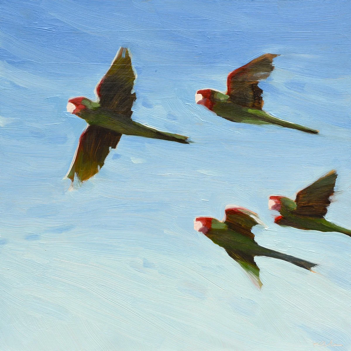 Squawk III by Kanna Aoki
