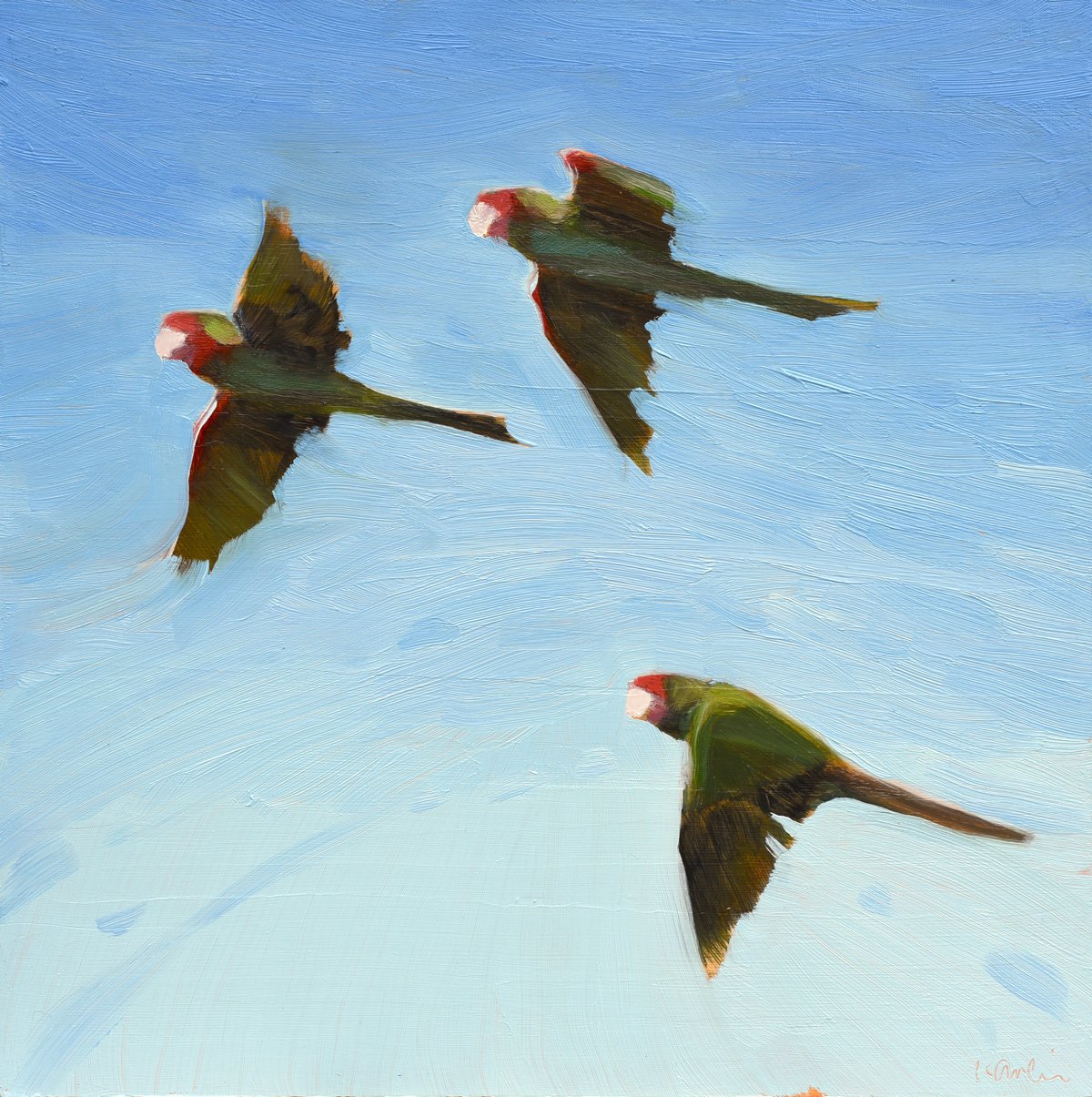 Squawk IV by Kanna Aoki