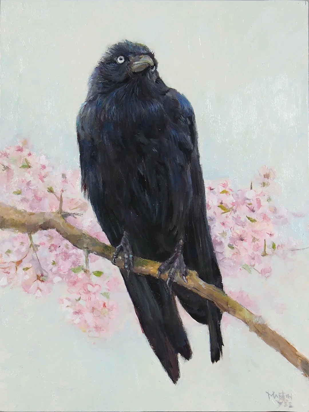 Karasu by Martin Yee