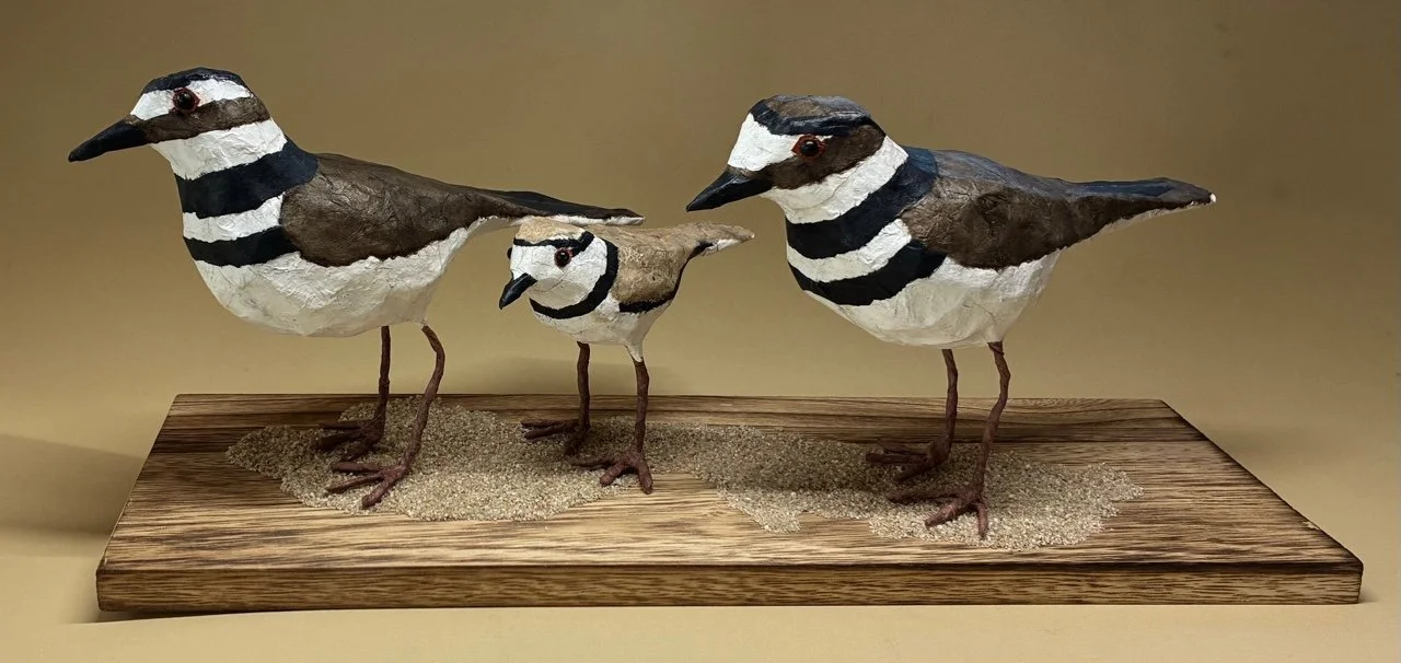 Killdeer Family by Nancy Overton