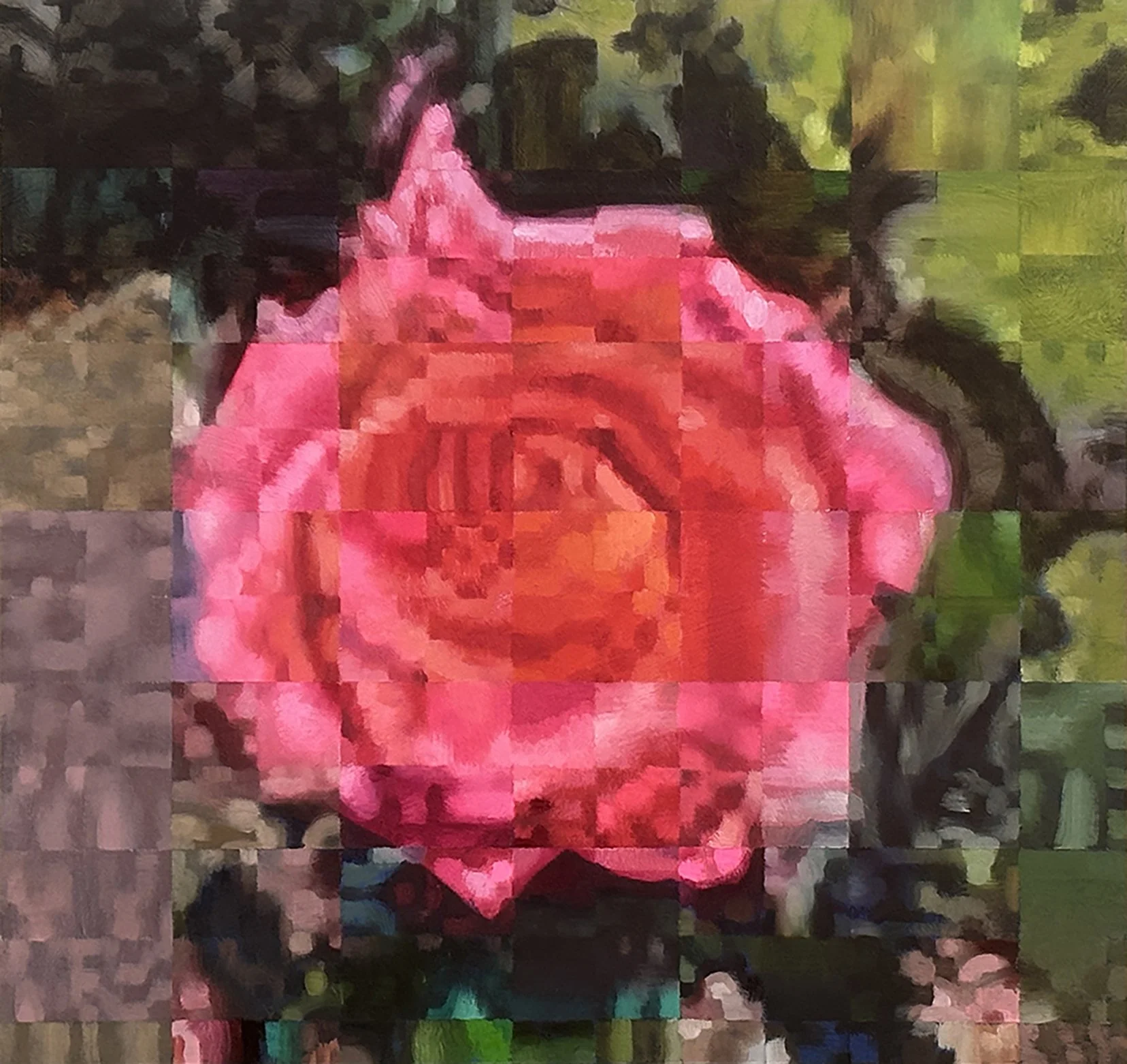 Rose by Adam Forfang