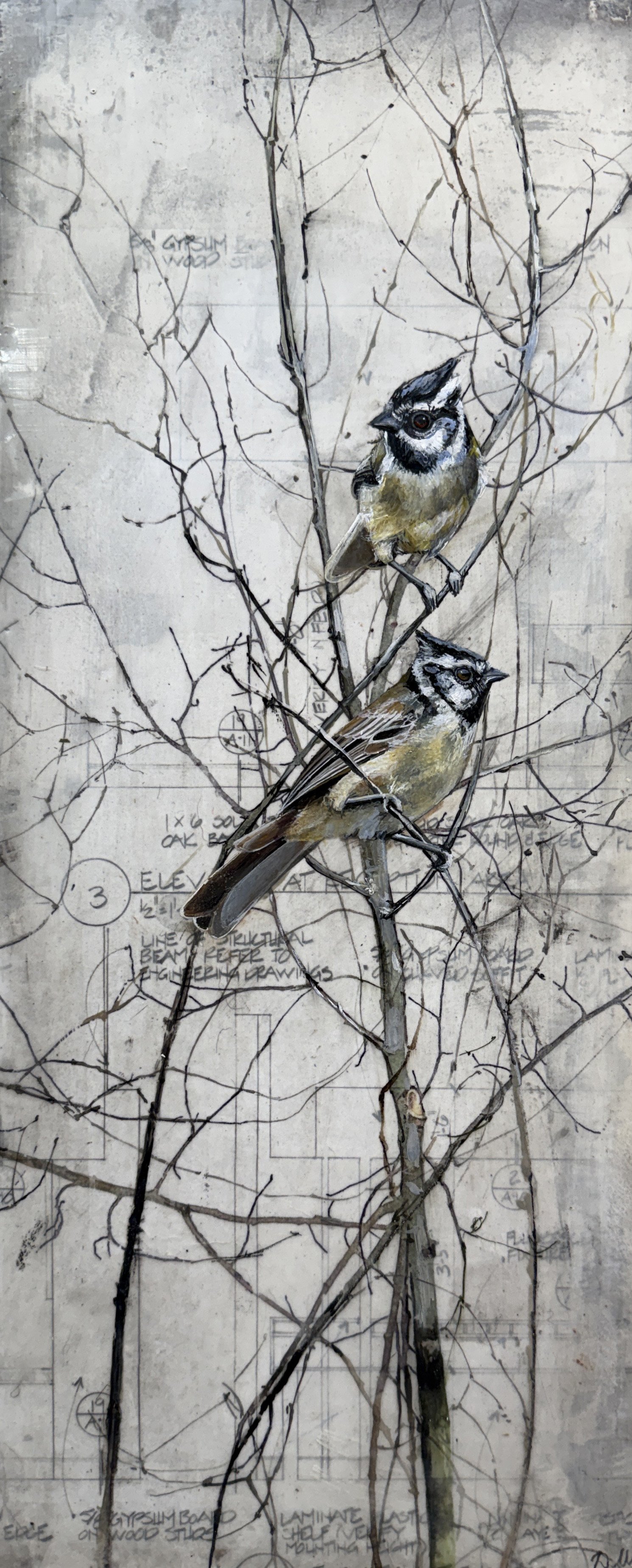 Old Blueprints by Diana Majumdar