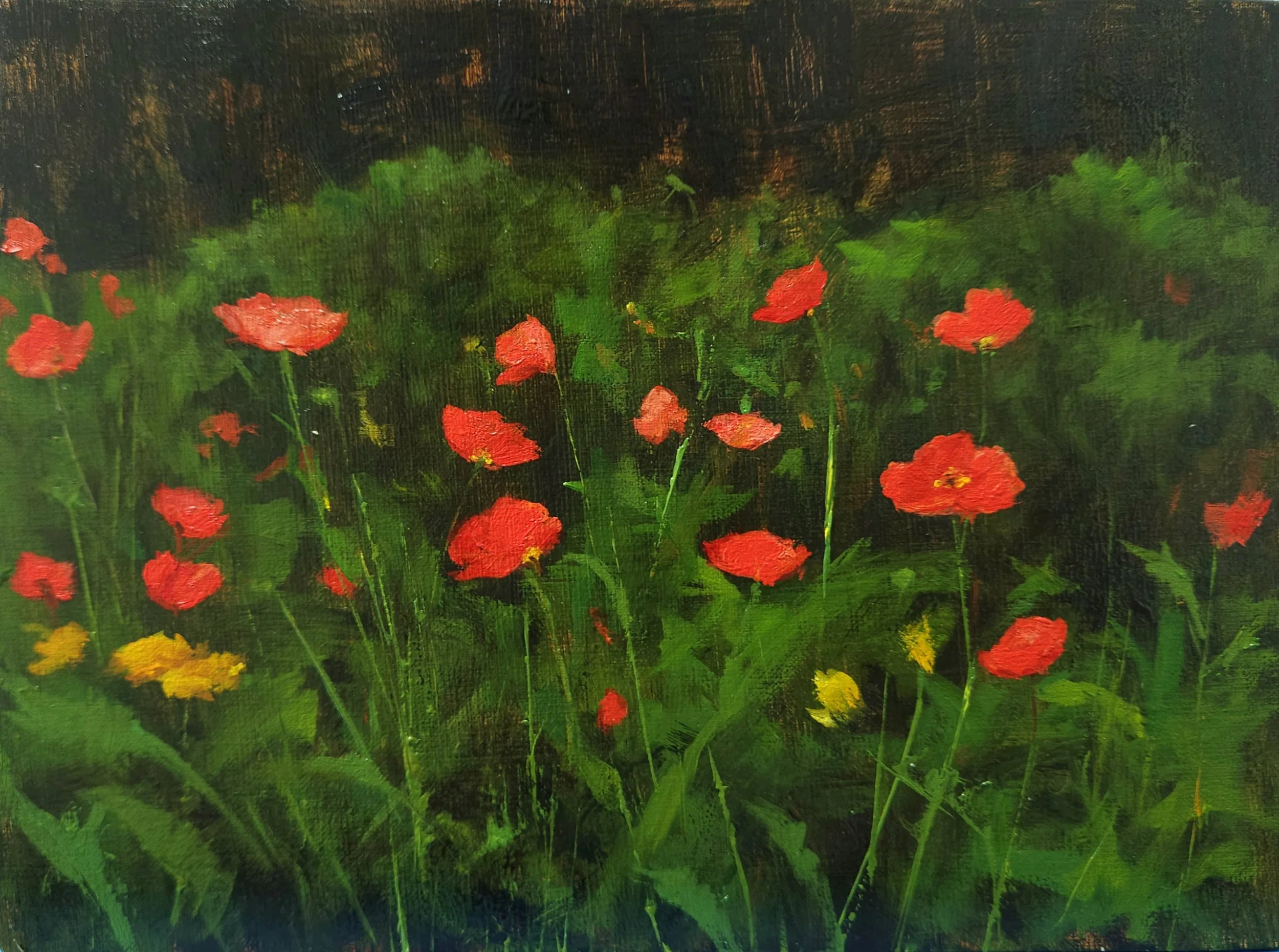 Botanical Garden by Qing Miao